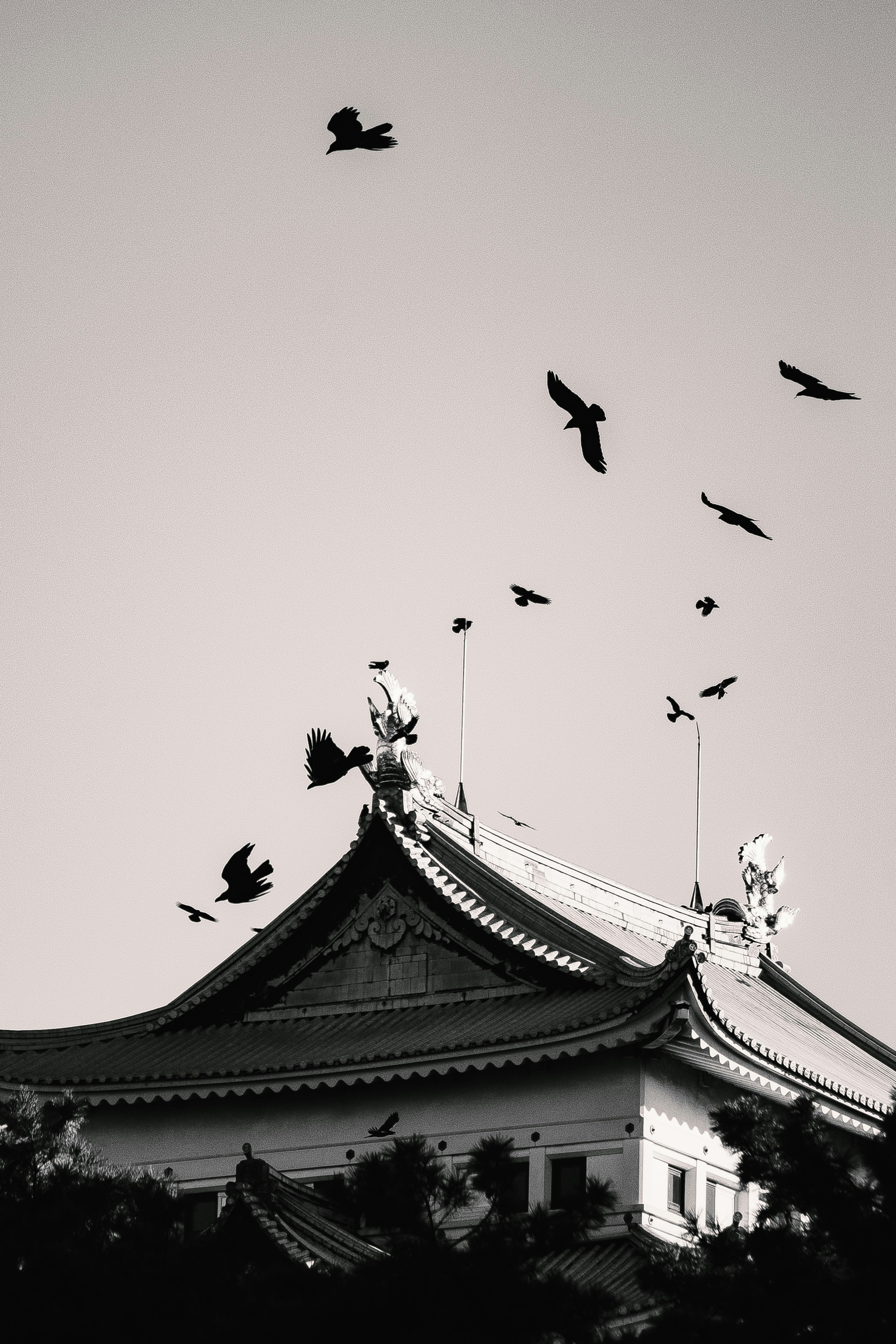 toit de temple avec des oiseaux en vol