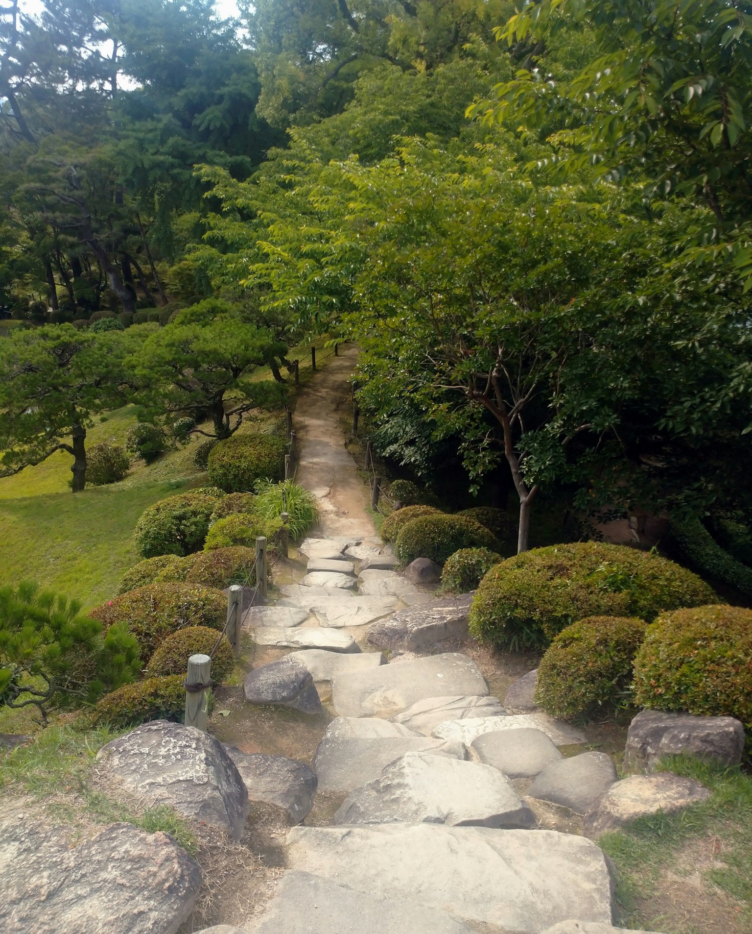 蜿蜒的石頭小路穿過郁郁蔥蔥的花園
