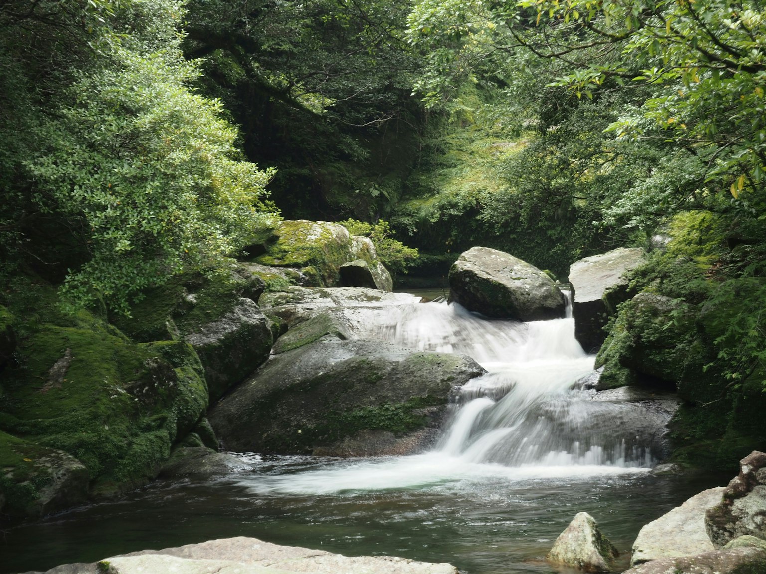 Serene river flowing through lush greenery