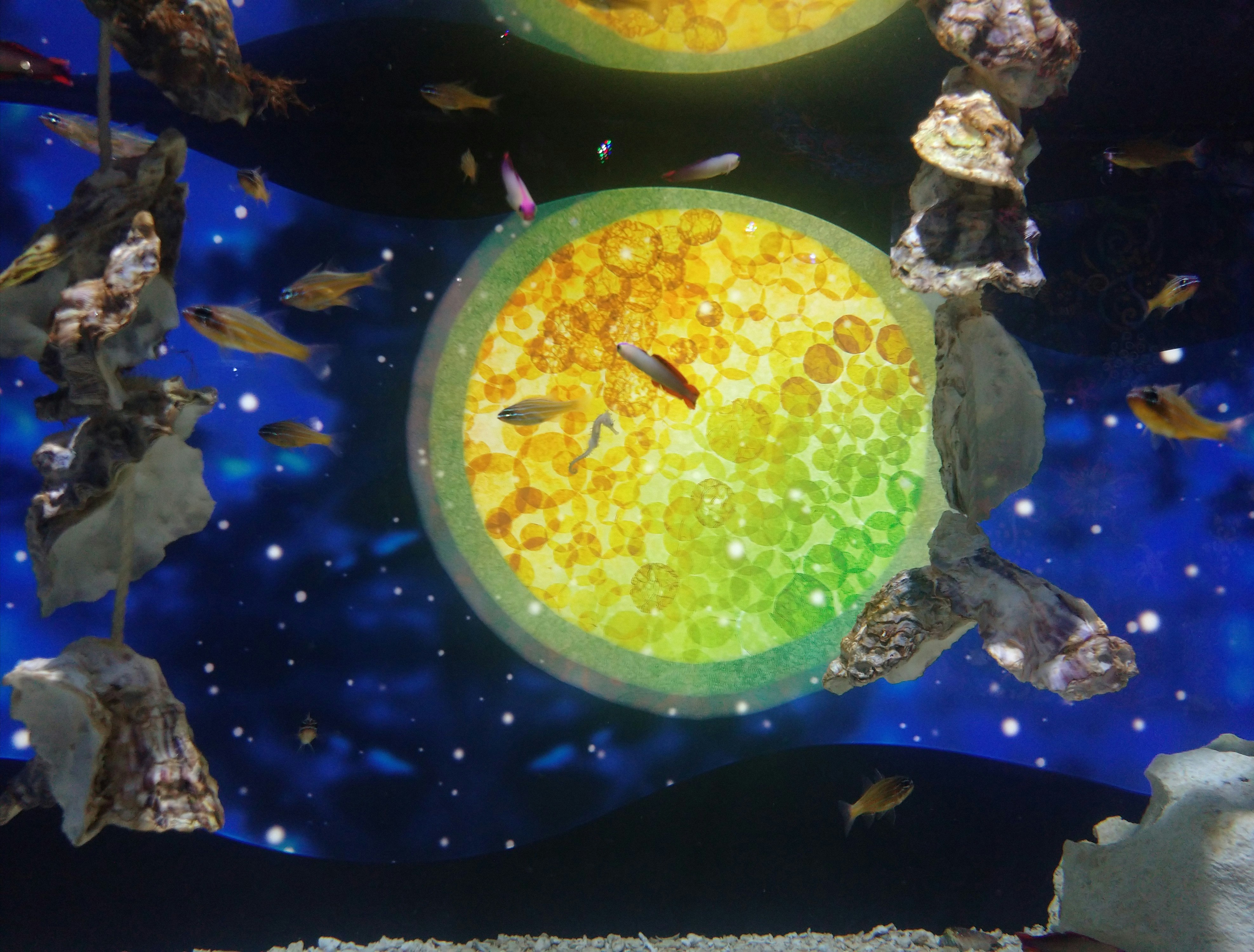 水槽の中を泳ぐ魚と照明のある水族館の展示