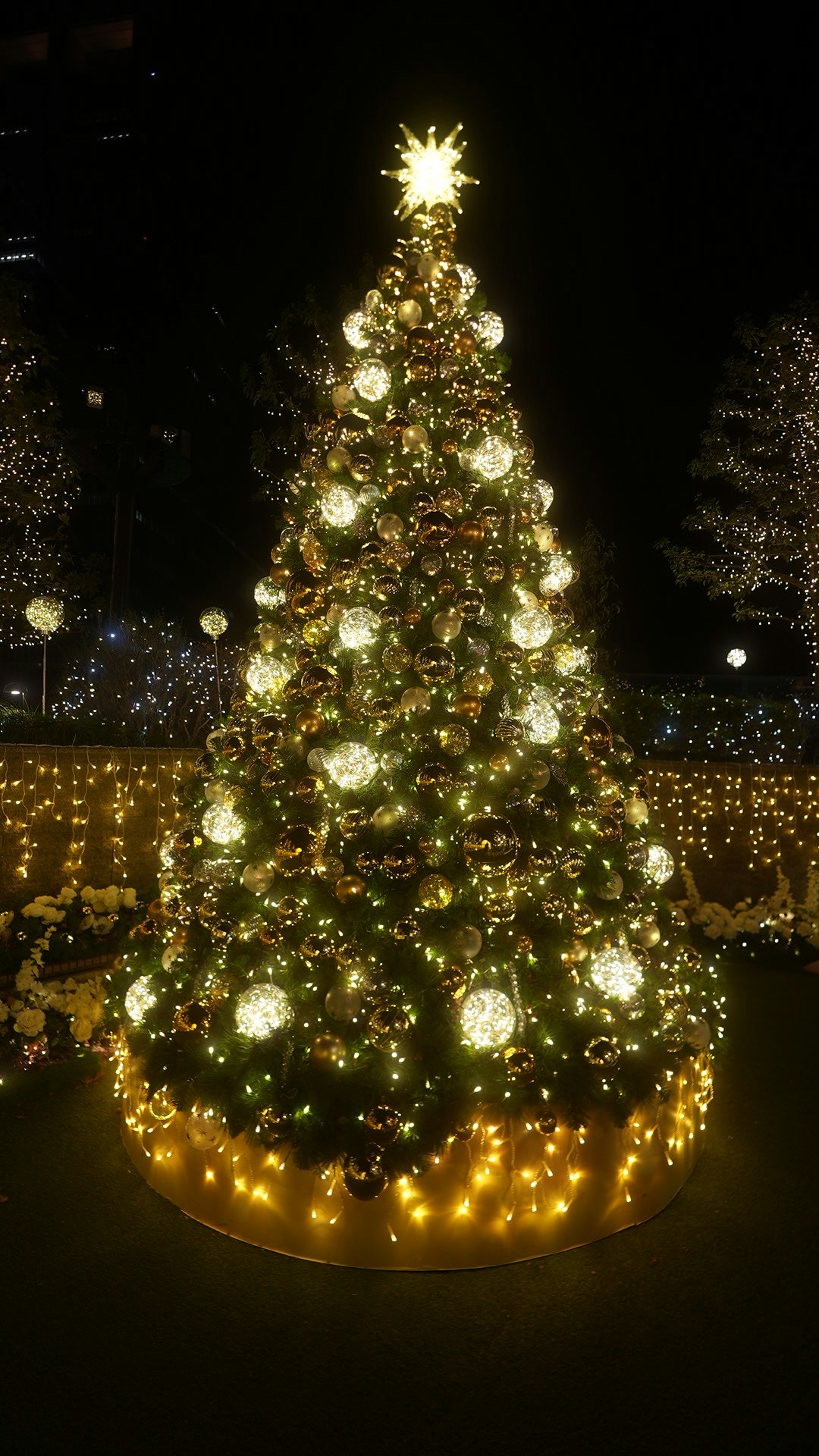 イルミネーションで飾られたクリスマスツリーの夜景