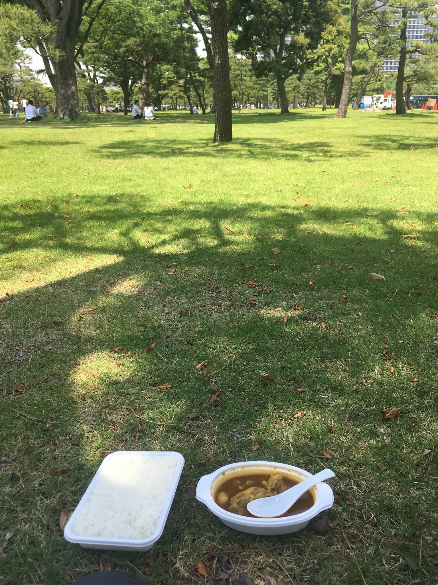 Curry dan nasi dihidangkan di piring putih di atas rumput hijau di taman