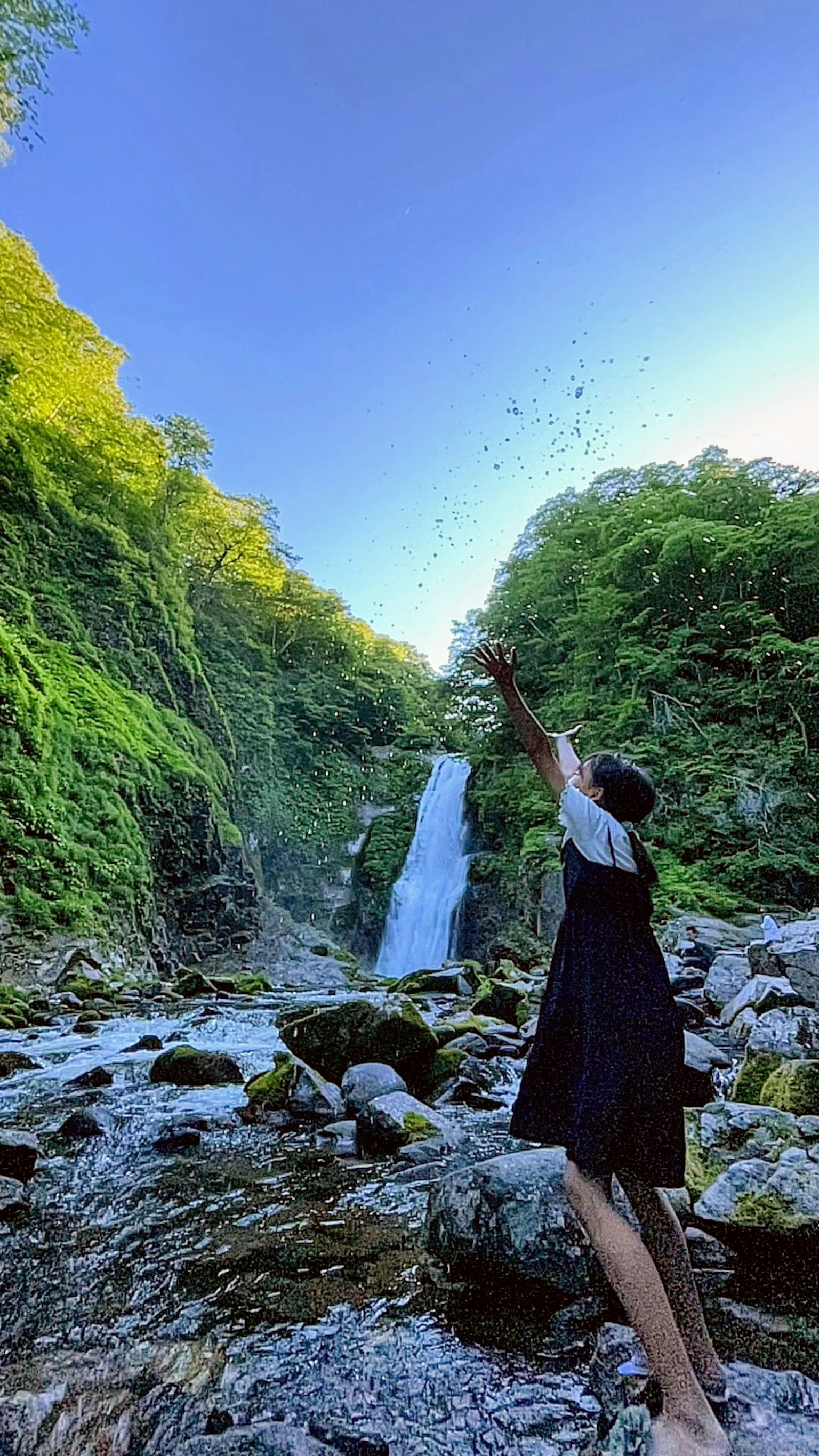 เด็กที่สาดน้ำหน้าหลักน้ำตก surrounded by greenery