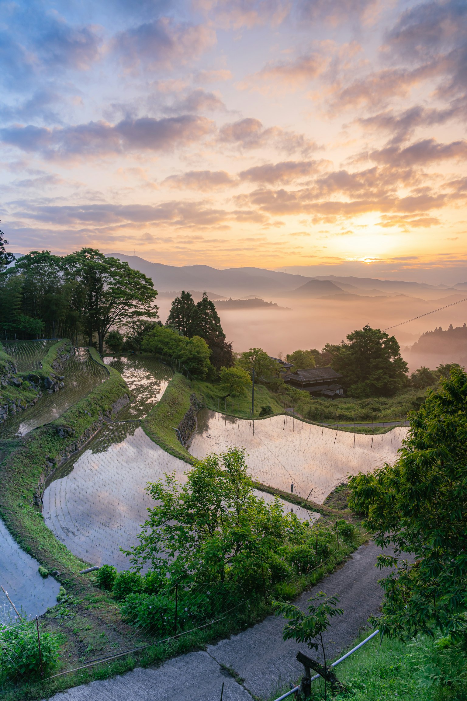 Stunning rice terraces with a vibrant sunrise