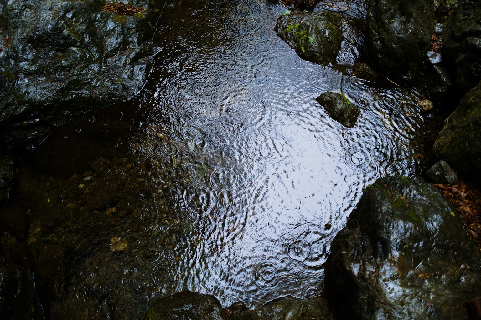 Calm water flow between rocks Ripples spreading across the surface