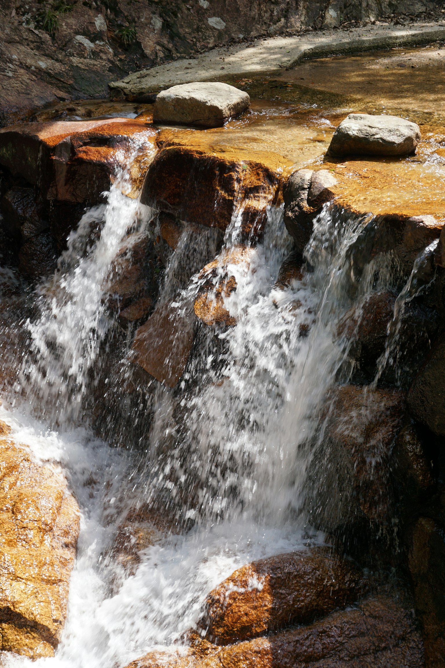 Eau cascade sur des rochers dans un cadre naturel