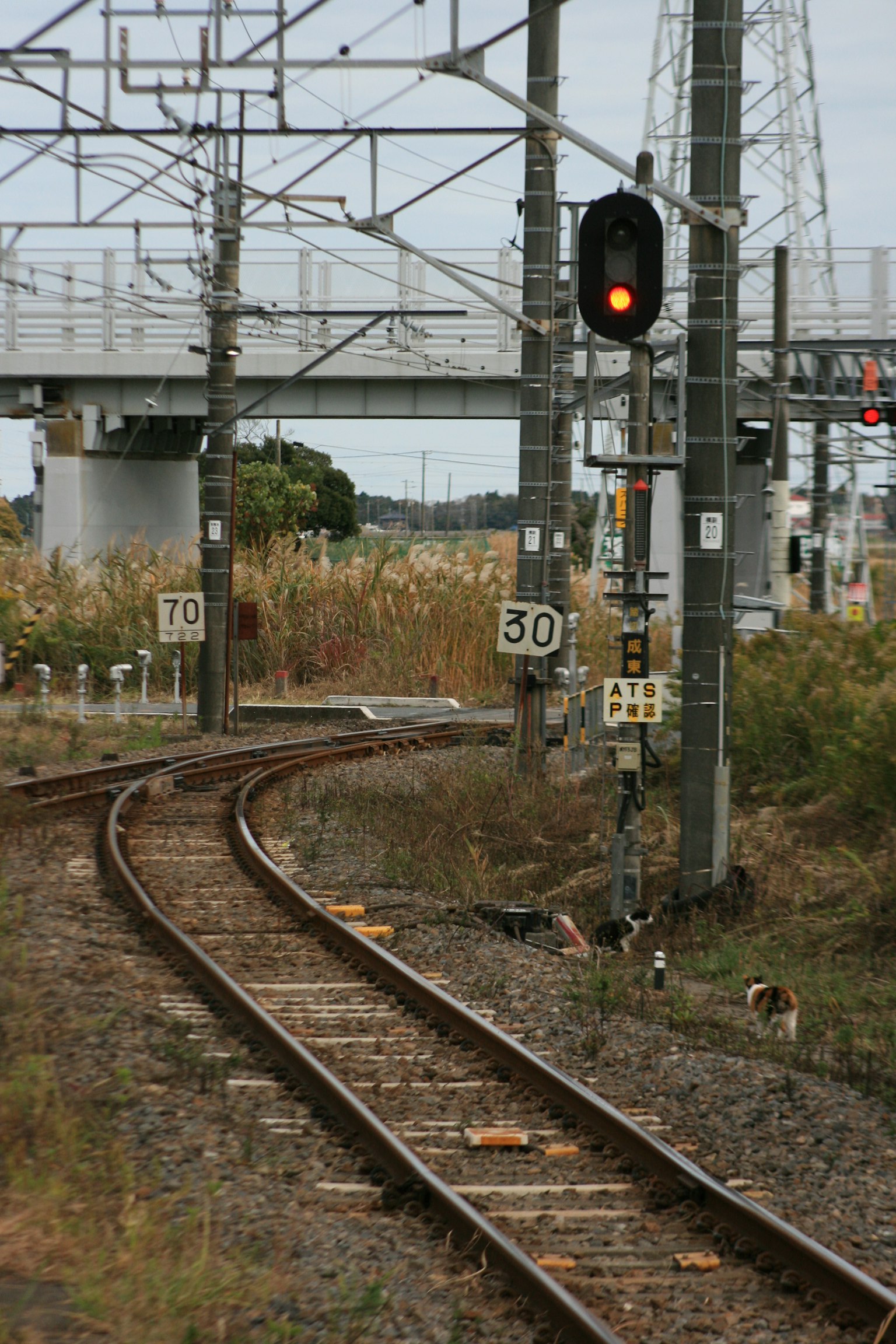 รางรถไฟที่โค้งงอพร้อมเสาไฟสัญญาณและทิวทัศน์รอบข้าง