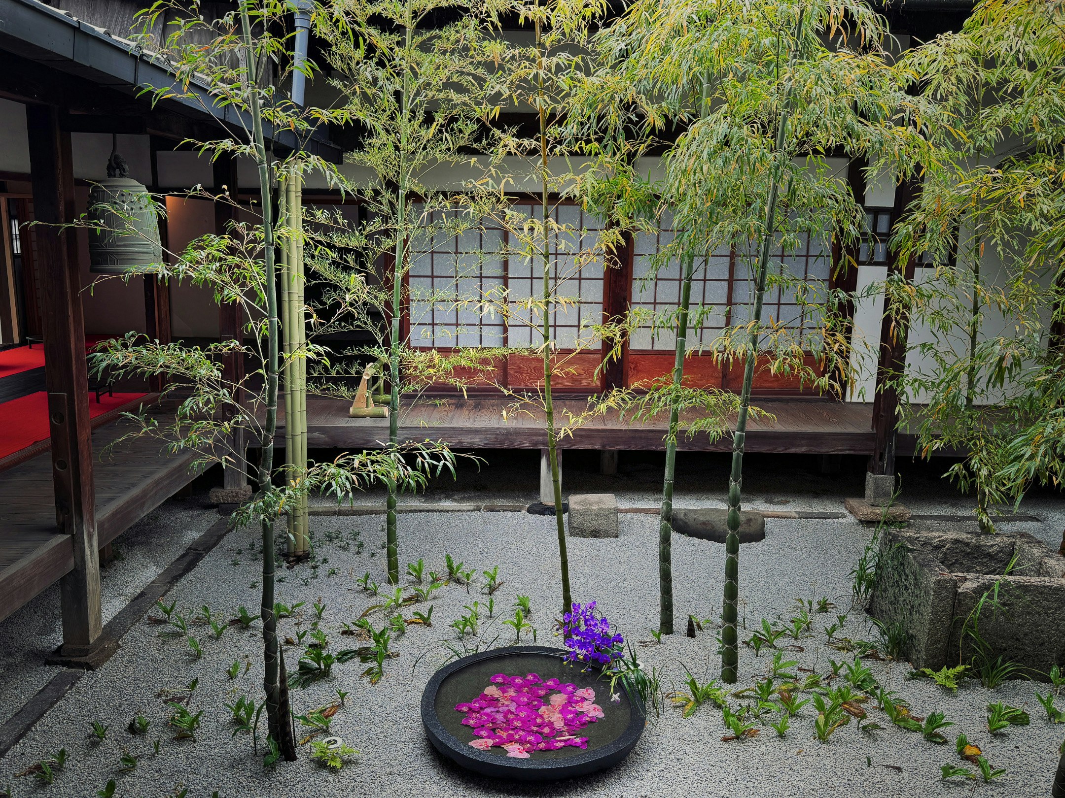 ลานภายในของนิชิไรอินพร้อมมอสและดอกไม้สีม่วง