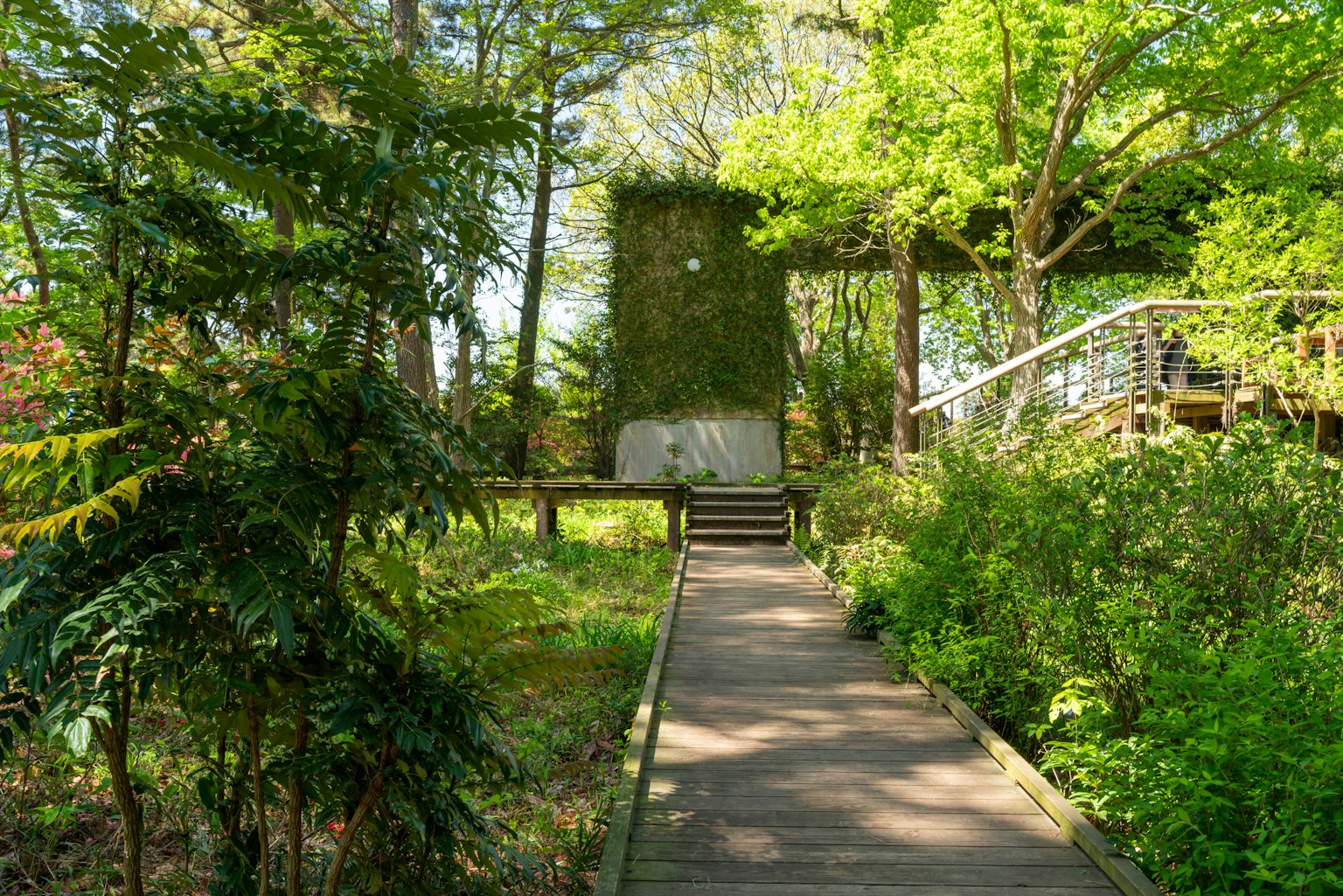 Un bâtiment inspiré de la nature entouré de verdure luxuriante et d'un chemin en bois