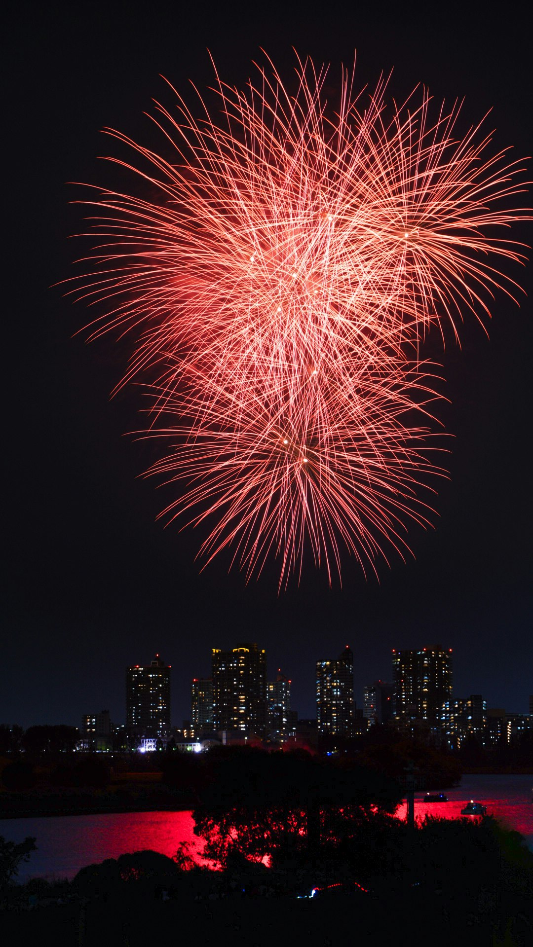 夜空に赤い花火が広がり、遠景の街並みと川沿いの灯りが見える