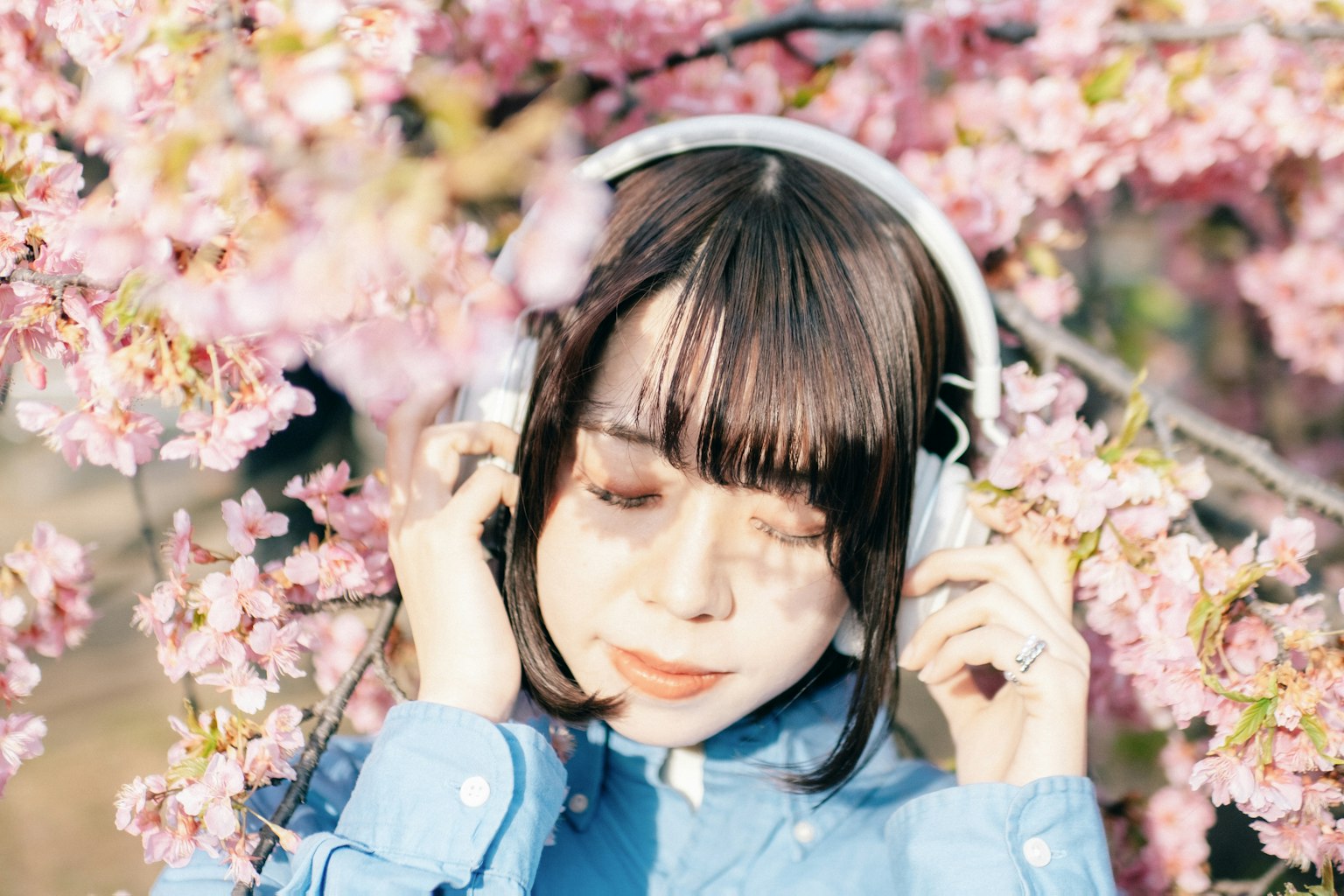 Seorang wanita mengenakan headphone menikmati musik dikelilingi bunga sakura