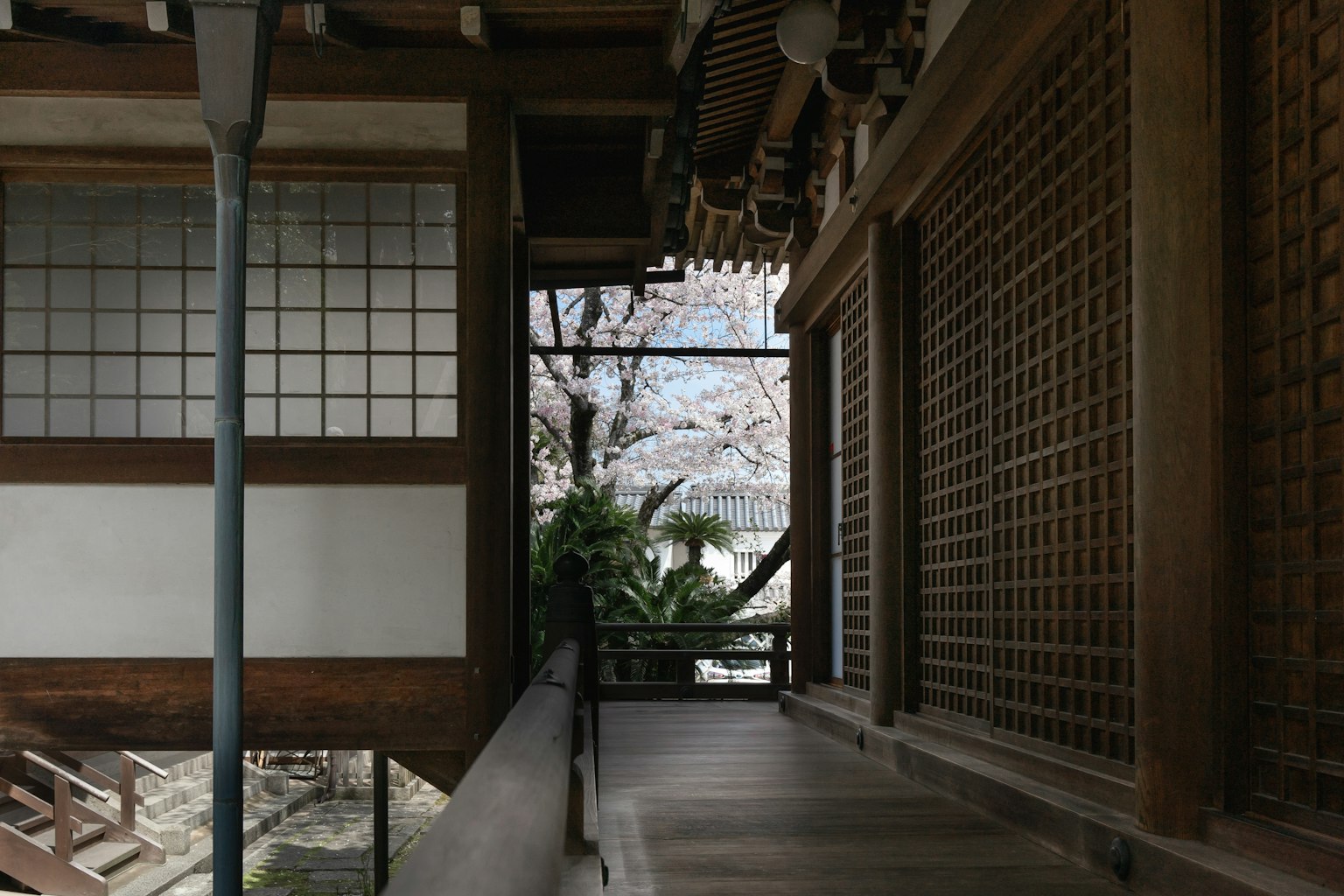 Interior view of a traditional Japanese corridor with a glimpse of cherry blossoms and garden
