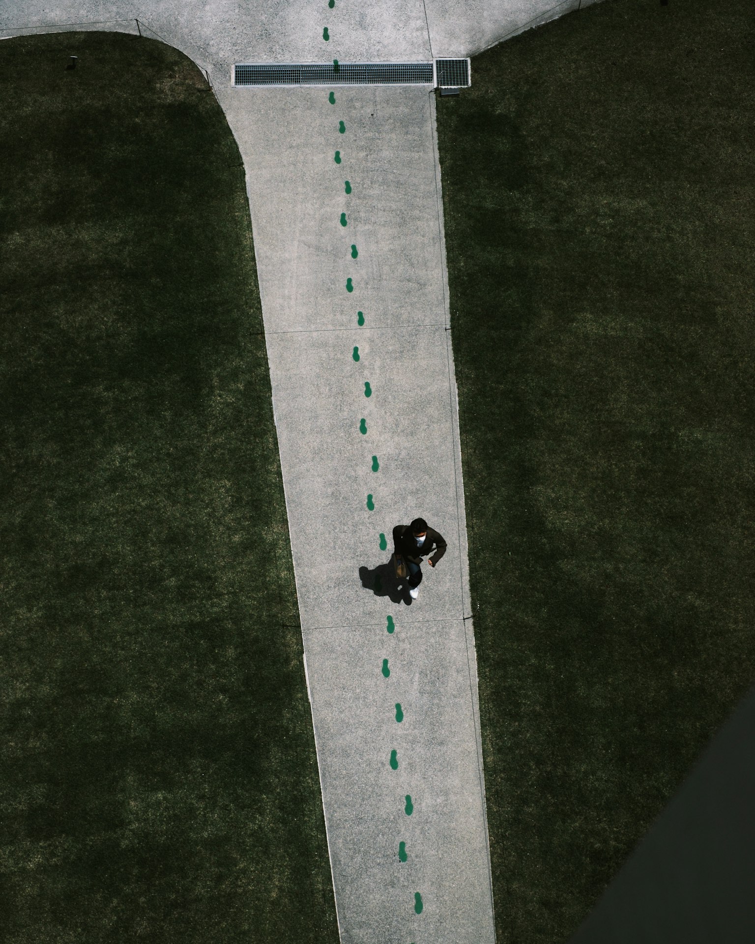 Aerial view of a park pathway with a black dog walking along green markers