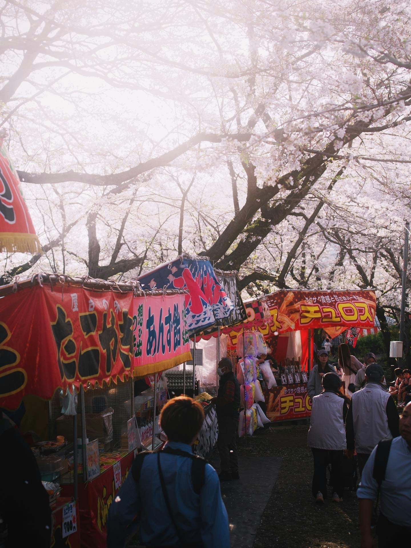 桜の木の下で賑わう屋台と人々の様子