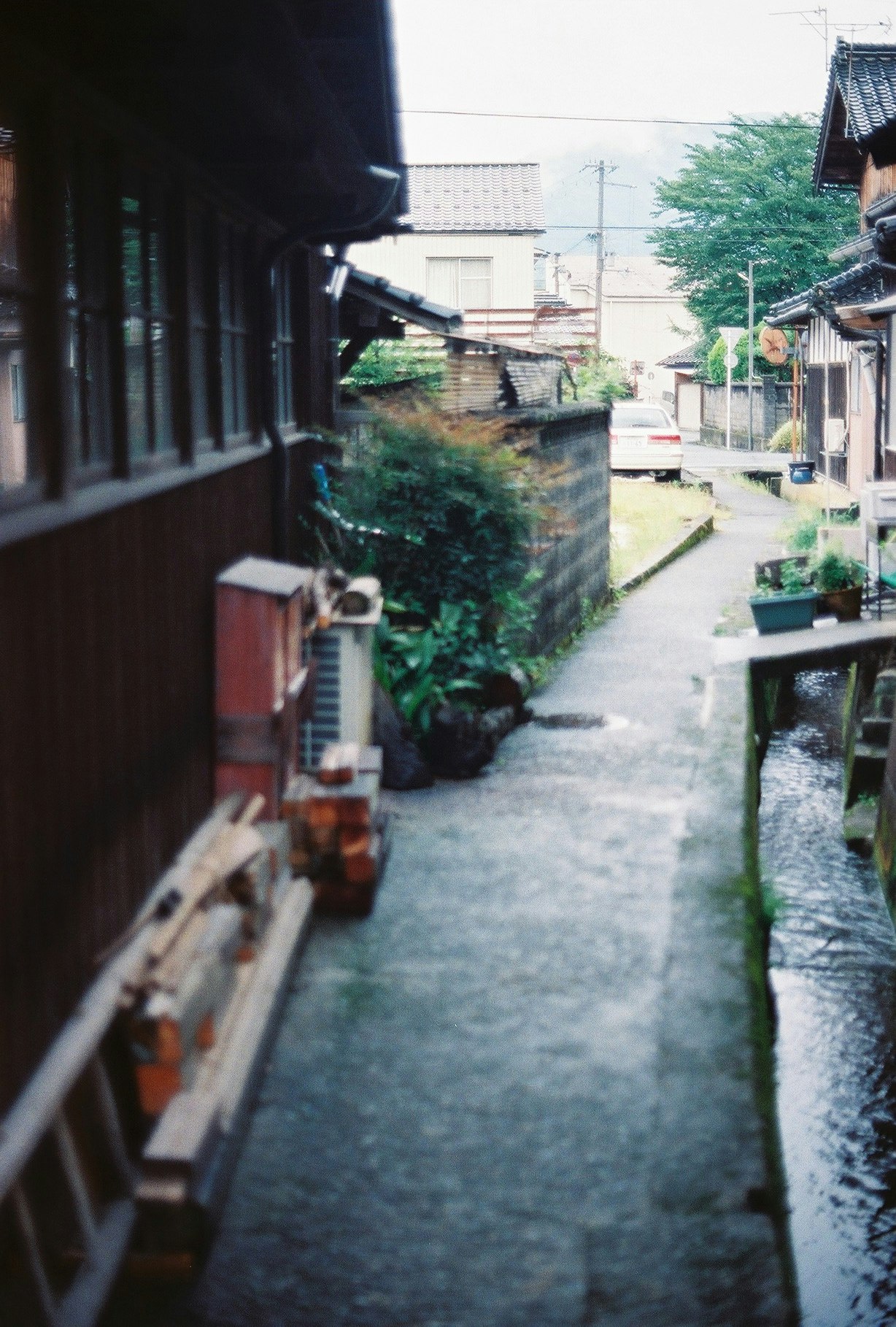 路地に並ぶ木造の軒先と植栽のある小道