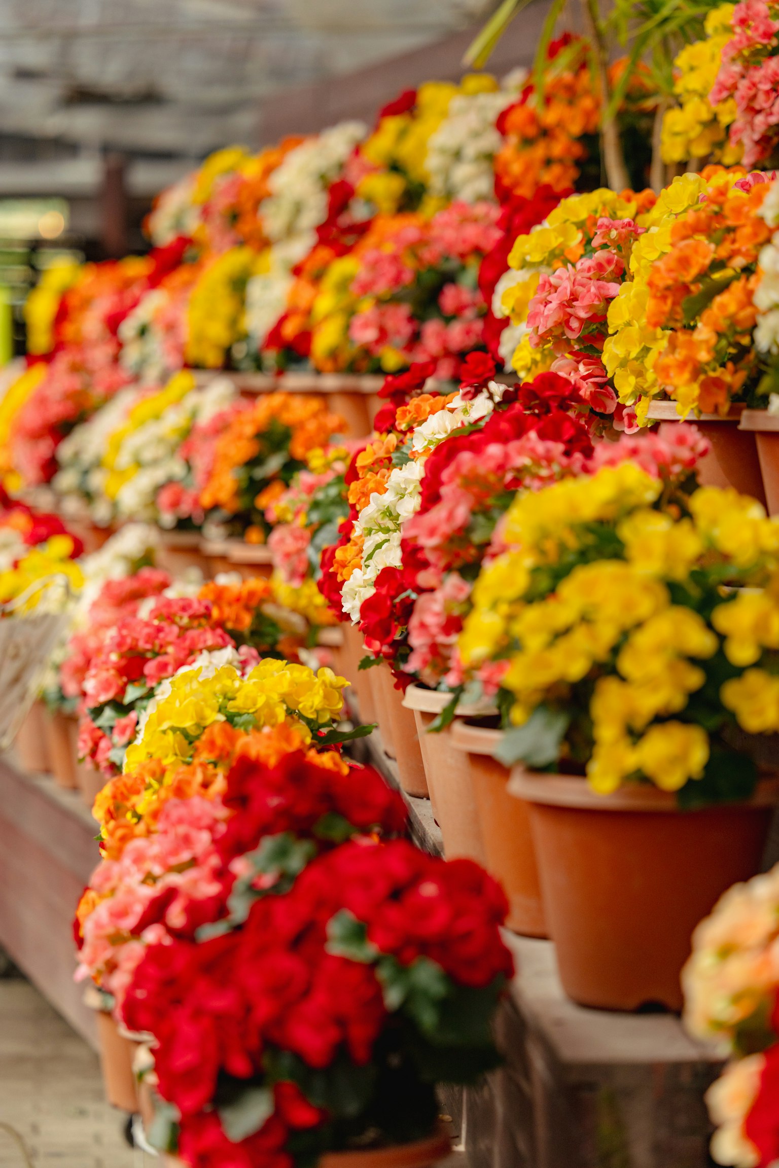 photo-fmhhy5llYg4OKkMOge6c-image