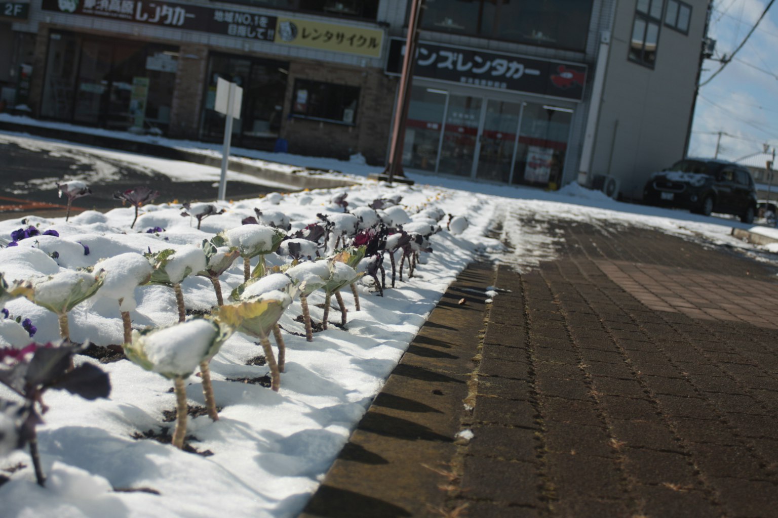 Aiola di fiori coperta di neve accanto ai negozi