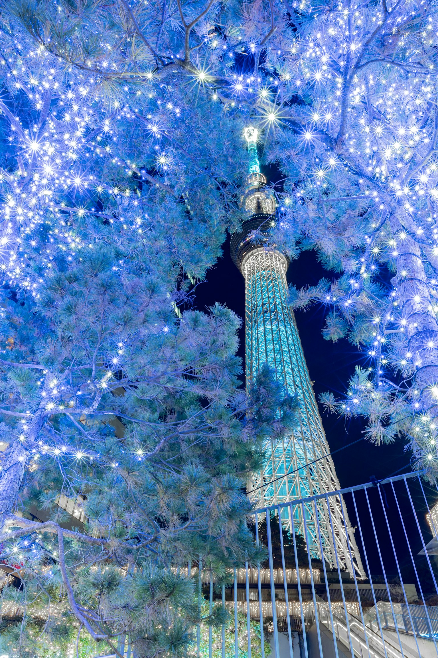 Tokyo Skytree diterangi lampu biru dikelilingi pepohonan di malam hari