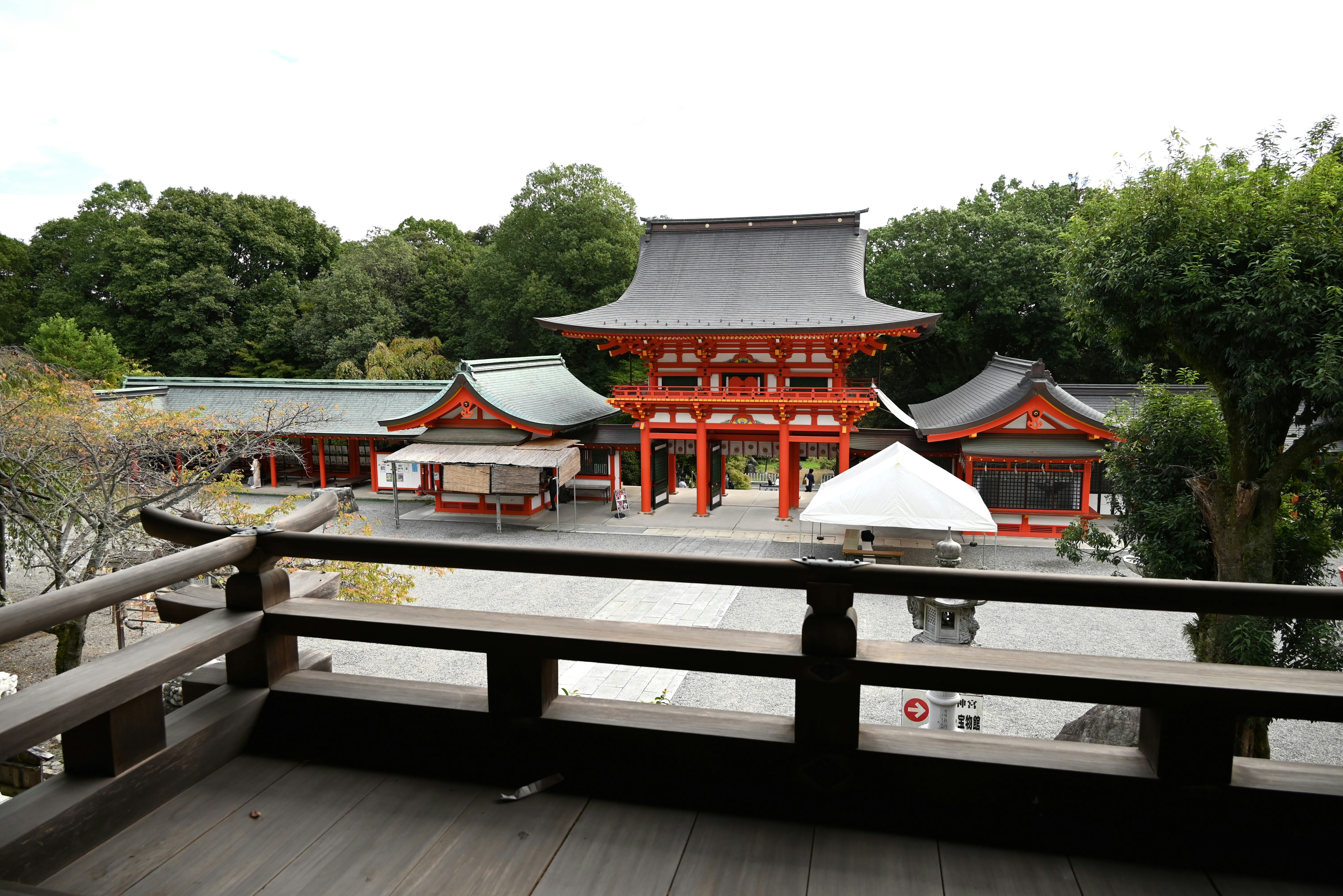 近江神宫的朱红神殿与白色供奉殿，从木质回廊远眺