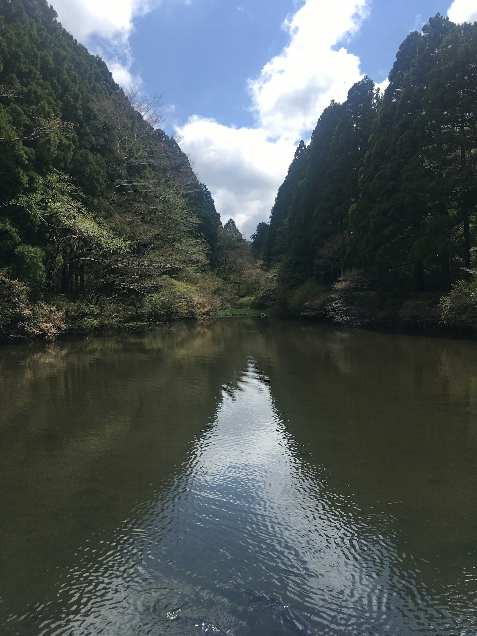 A tranquil lake surrounded by lush green mountains