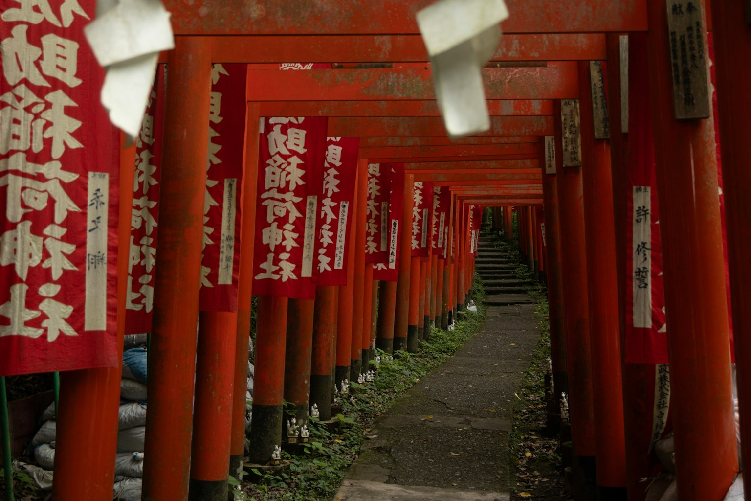 红色鸟居和悬挂的白色纸符的隧道