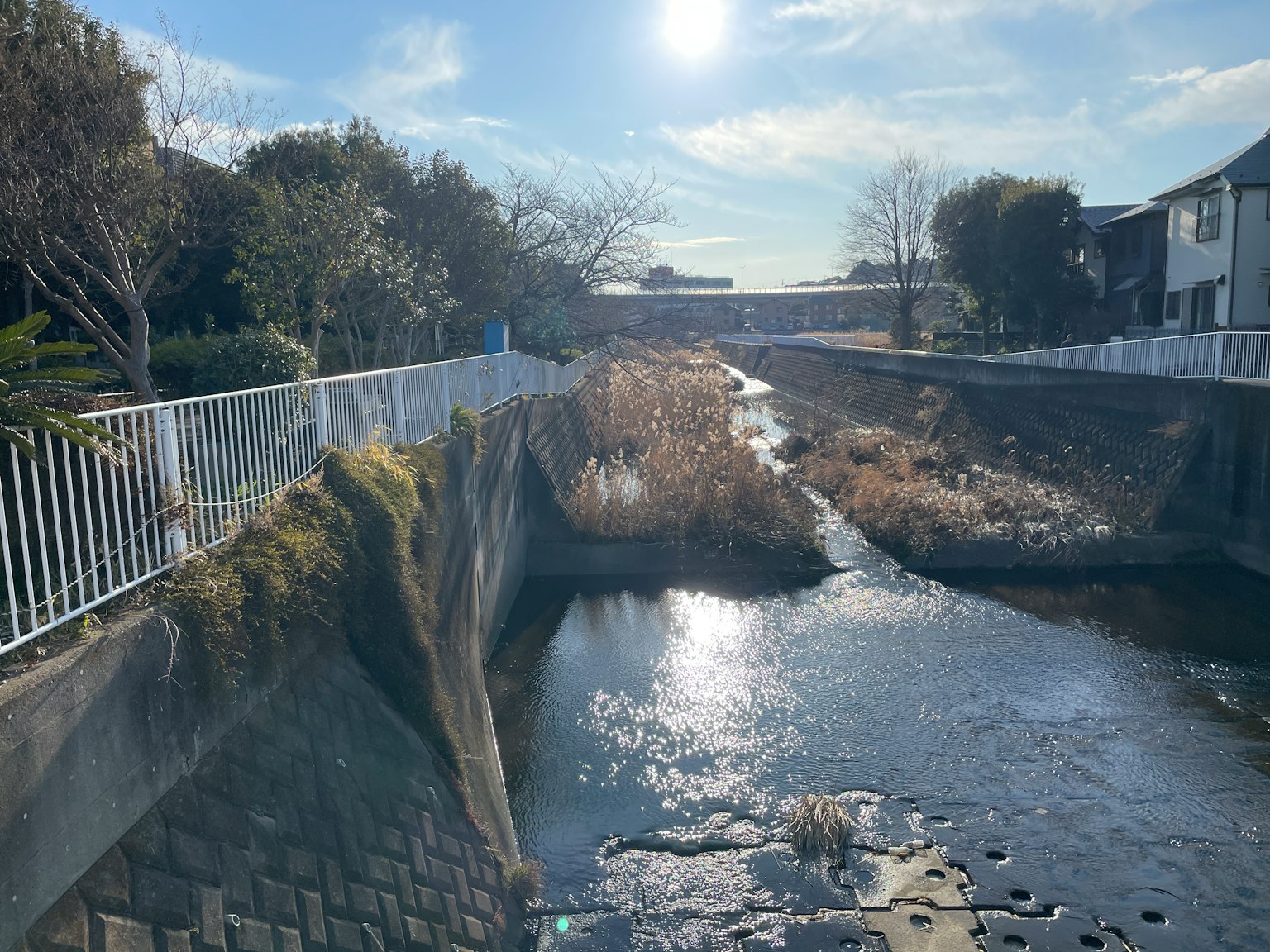 Scena di fiume tranquillo sotto un cielo blu con il sole