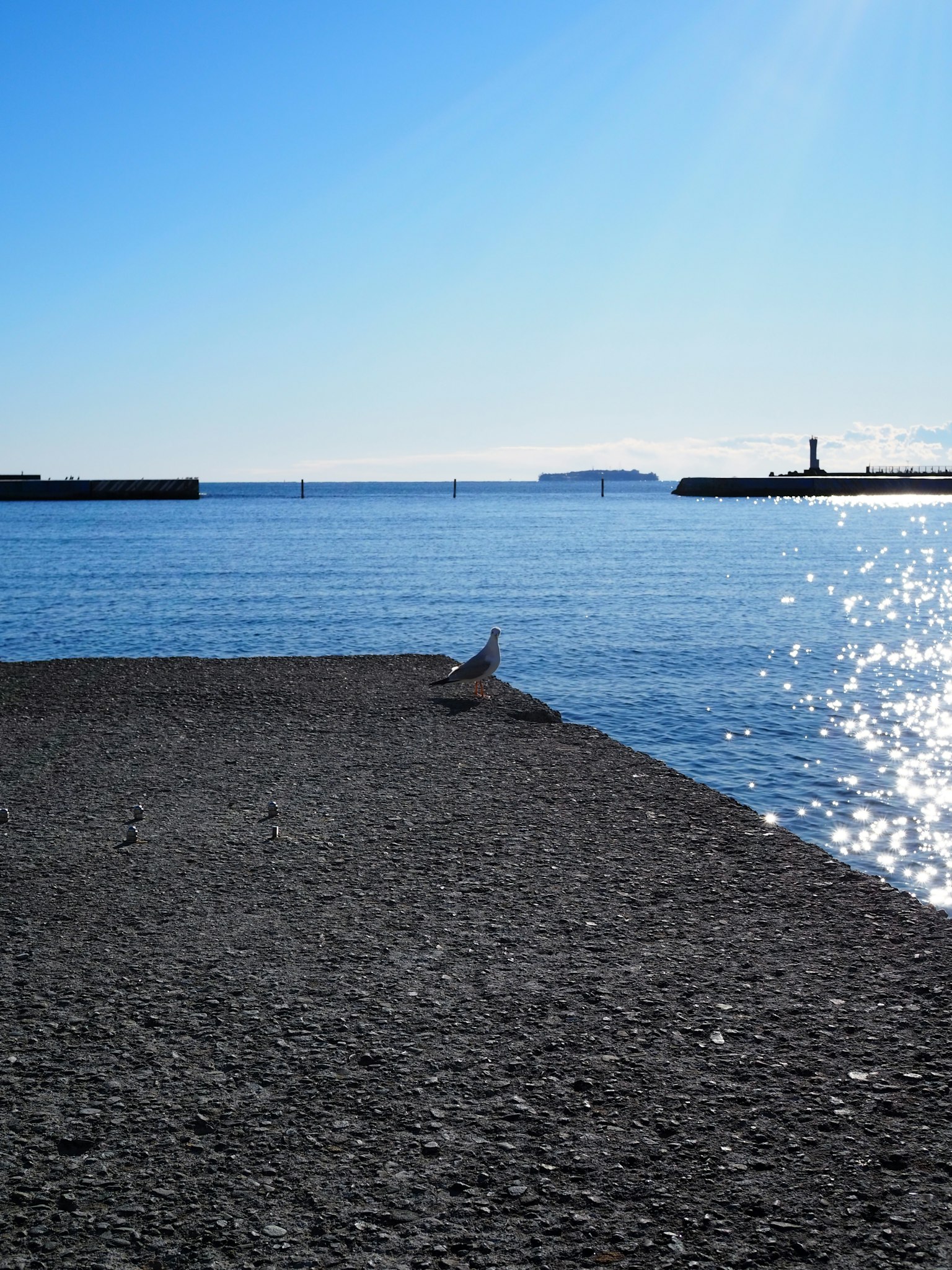 A rocky pier under a blue sky with a bird perched on it