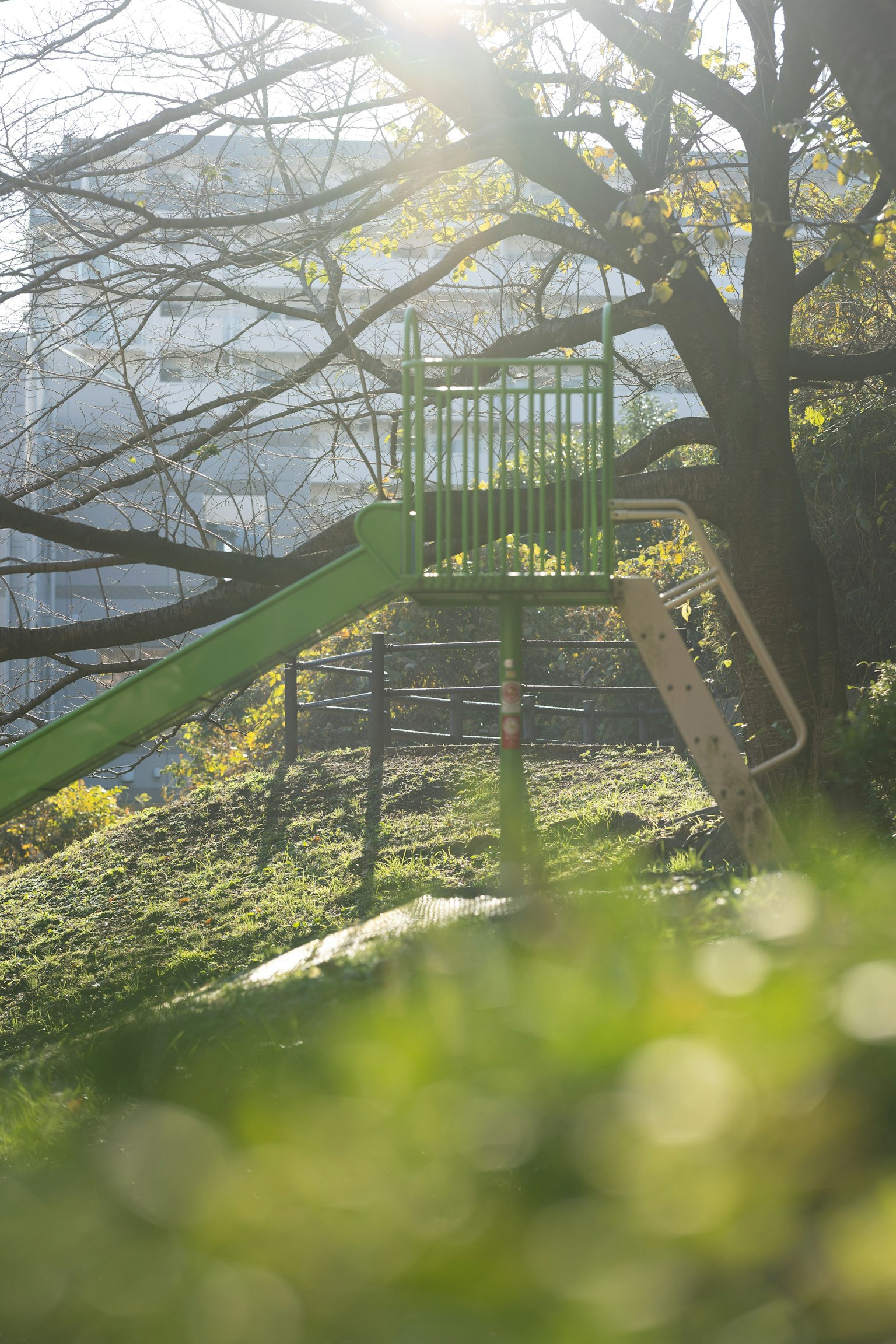 Scivolo e albero in un parco con luce soffusa