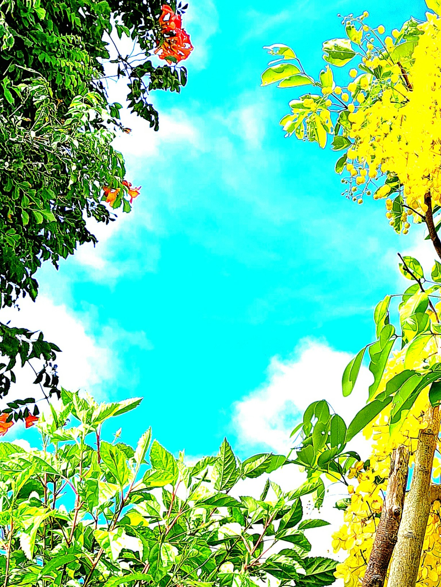 ใบไม้สีเขียวสดใสพร้อมดอกไม้หลากสีสันบนท้องฟ้าสีฟ้า
