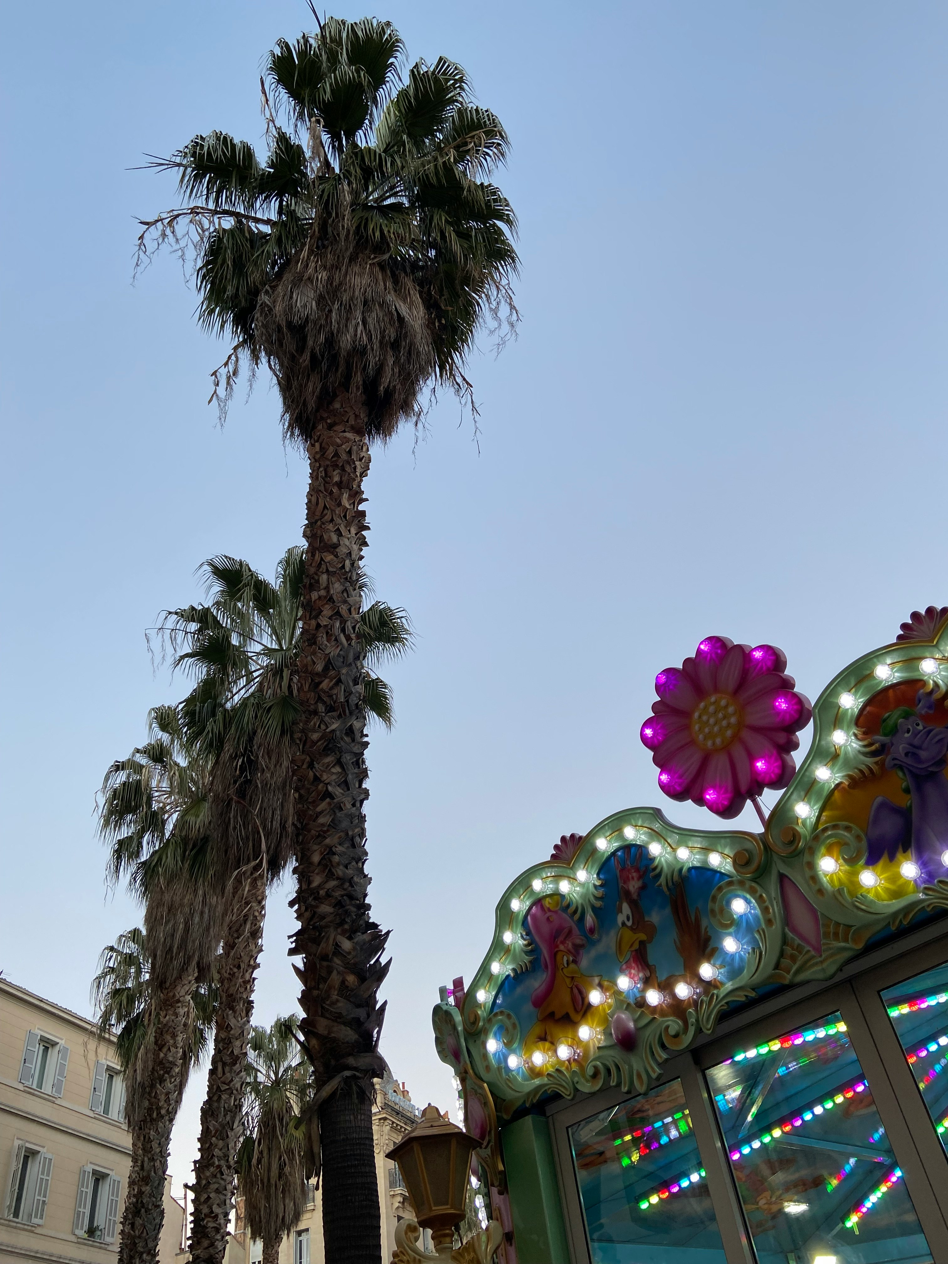 luces callejeras en Marsella y un árbol de palmera