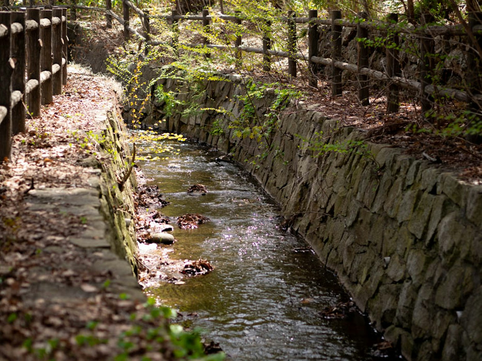 Un sentiero sereno con un torrente e un muro di pietra
