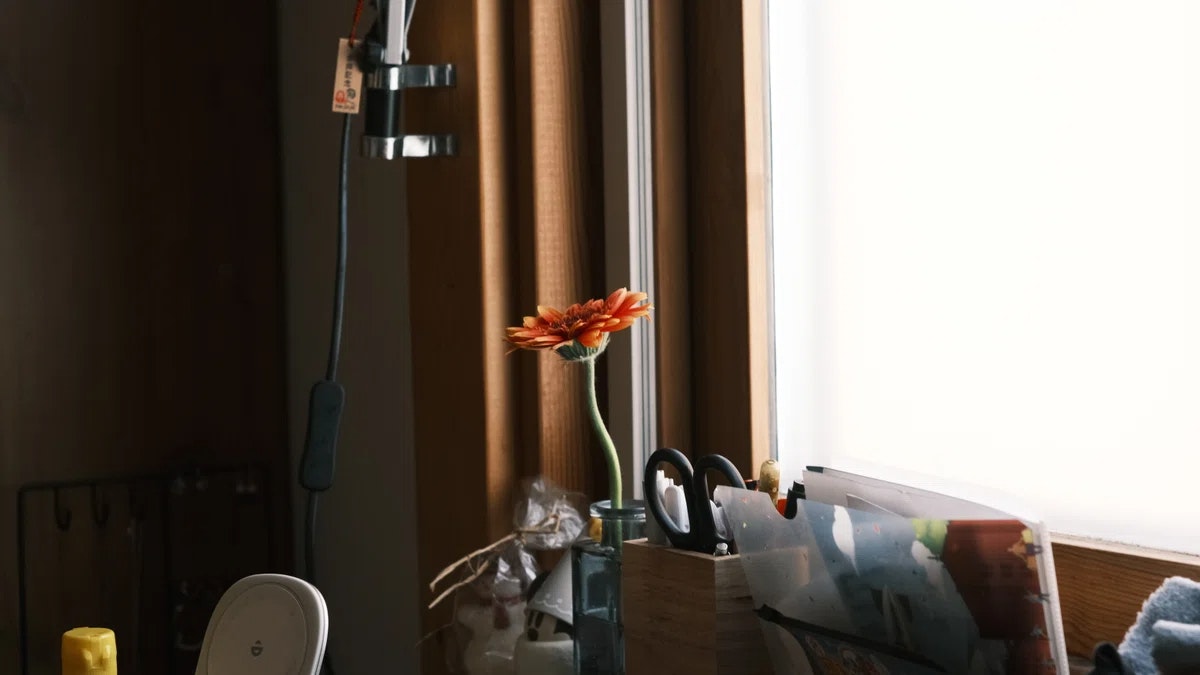 窗邊擺放花瓶與咖啡杯的寧靜室內場景