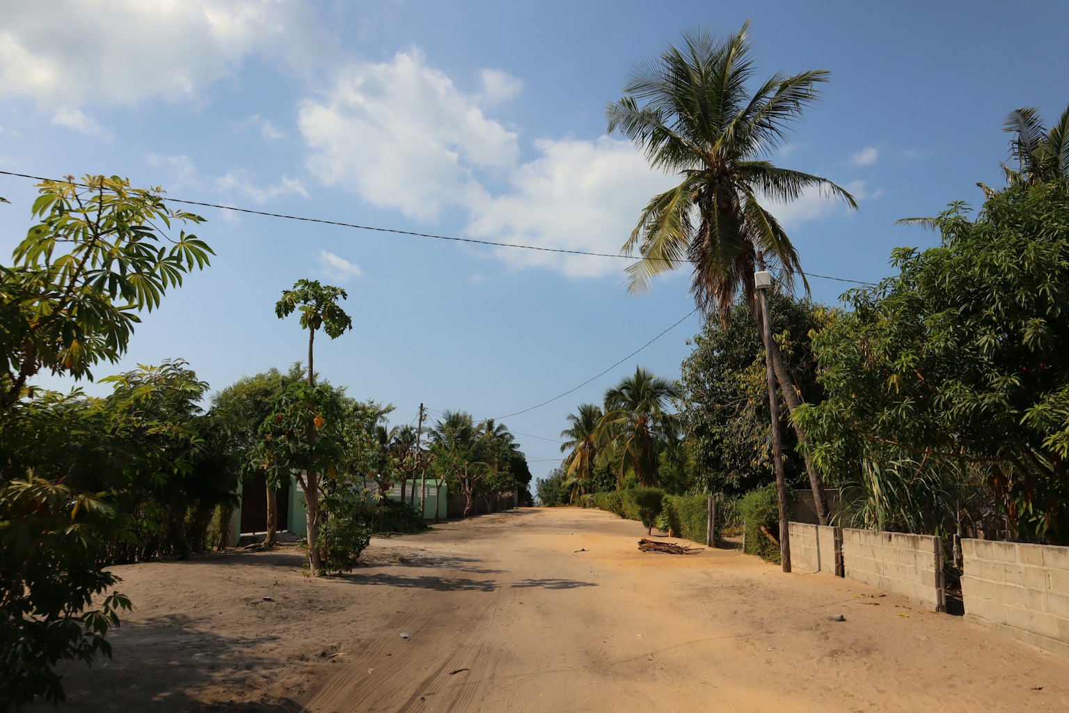 Vista escénica de un camino de tierra flanqueado por palmeras bajo un cielo azul