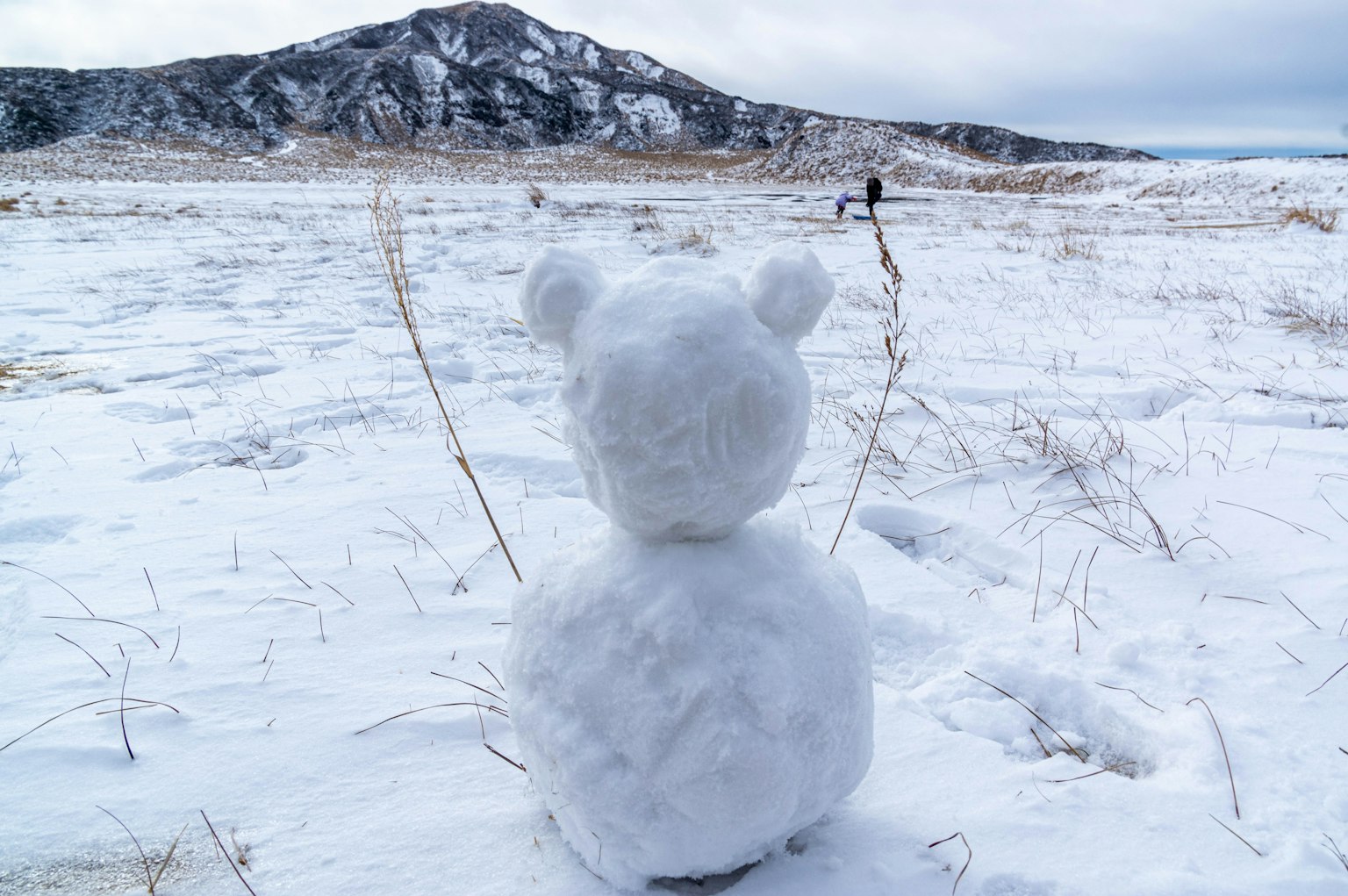 Sculpture de neige en forme d'ours dans un paysage enneigé avec des montagnes