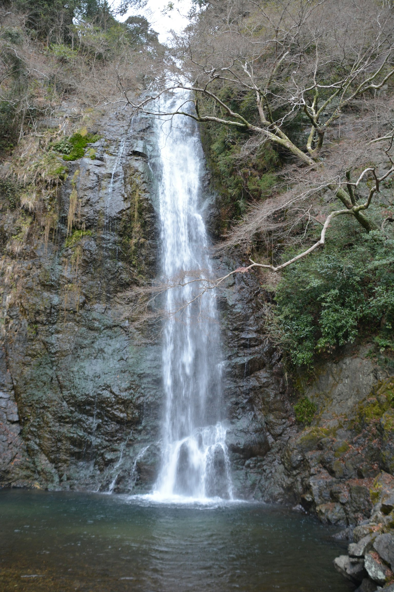 Sebuah air terjun yang indah mengalir dari tebing berbatu