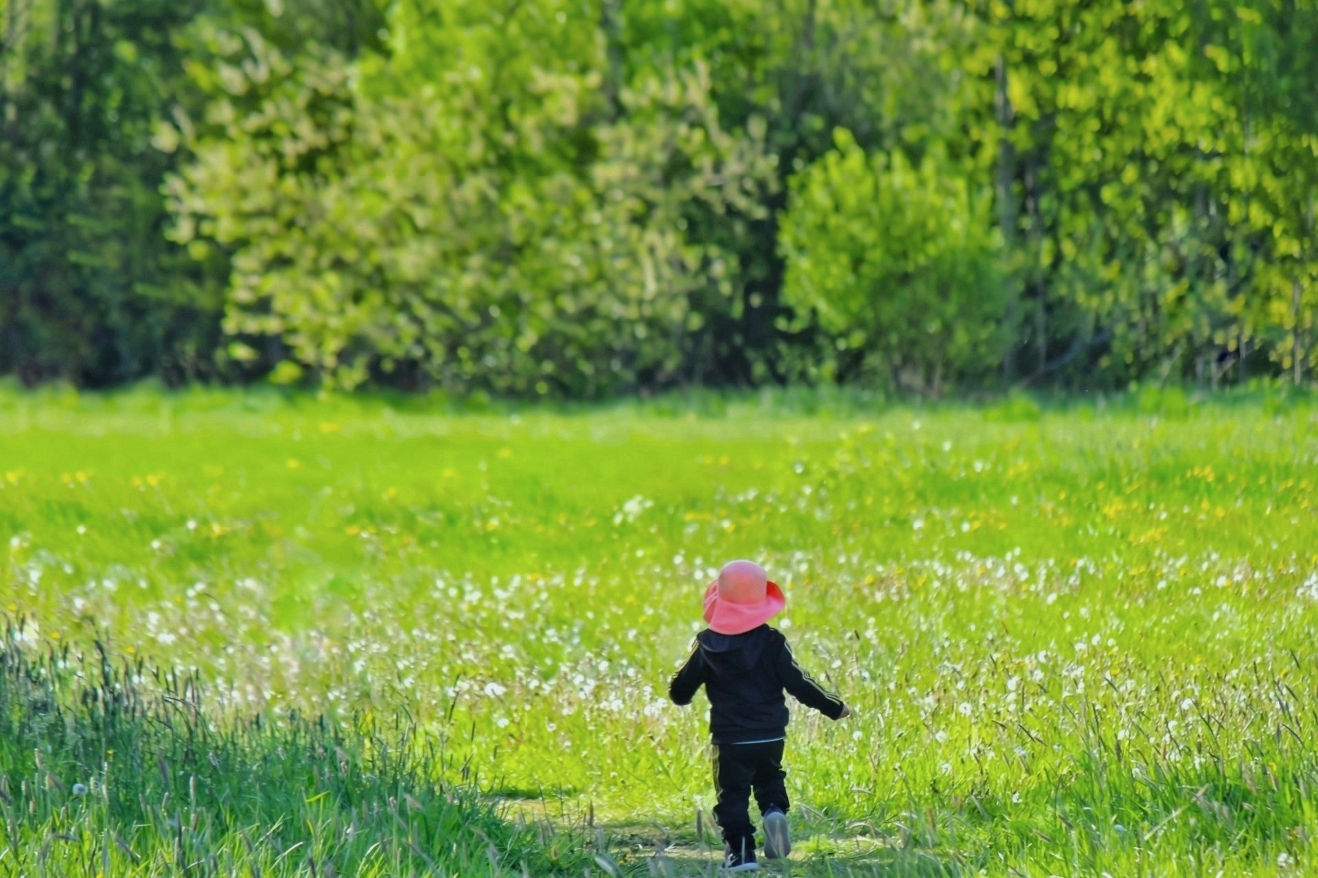 北欧風の春の草原を歩く子供の後ろ姿