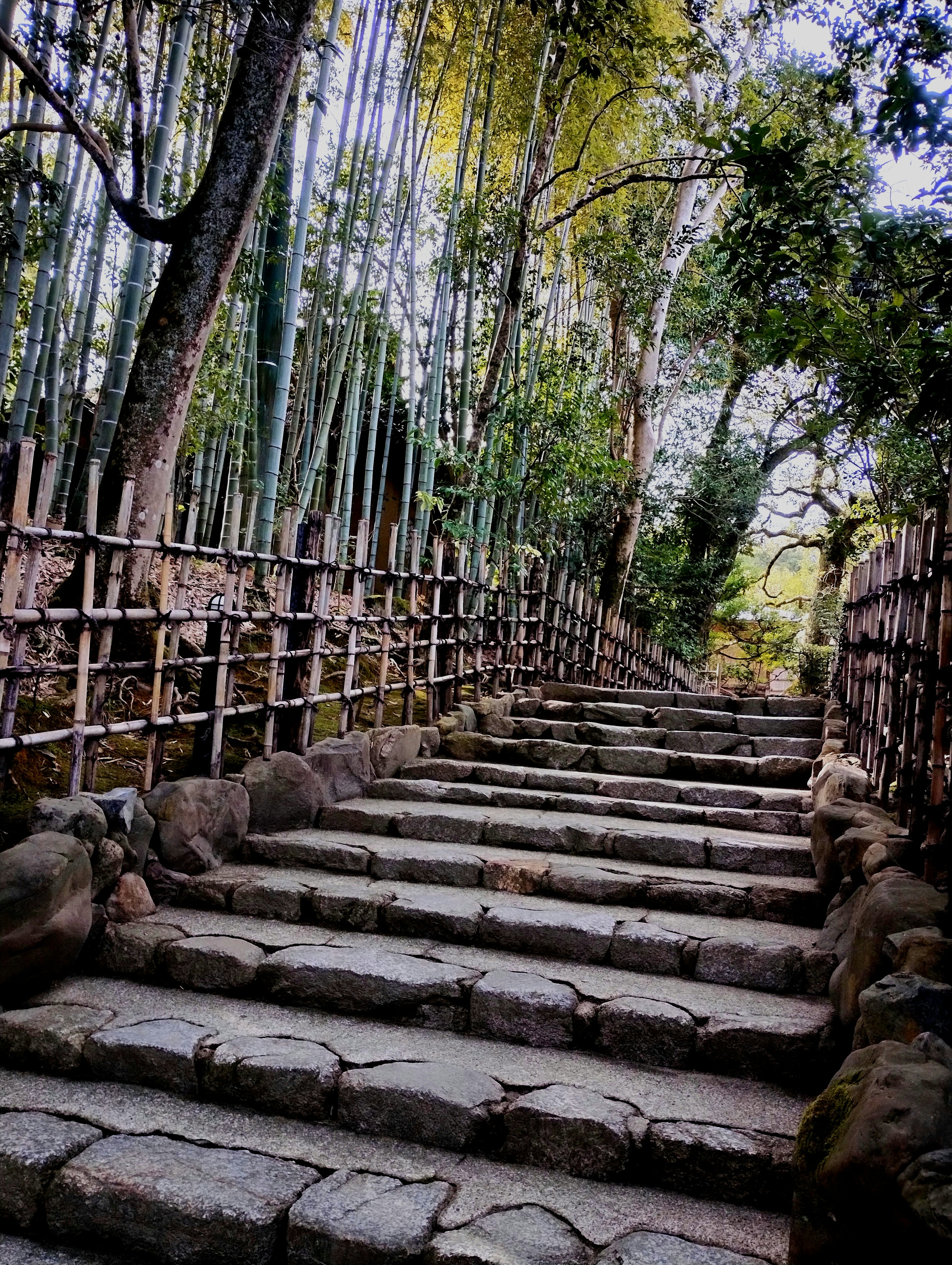 竹林の小径と石段のある参道
