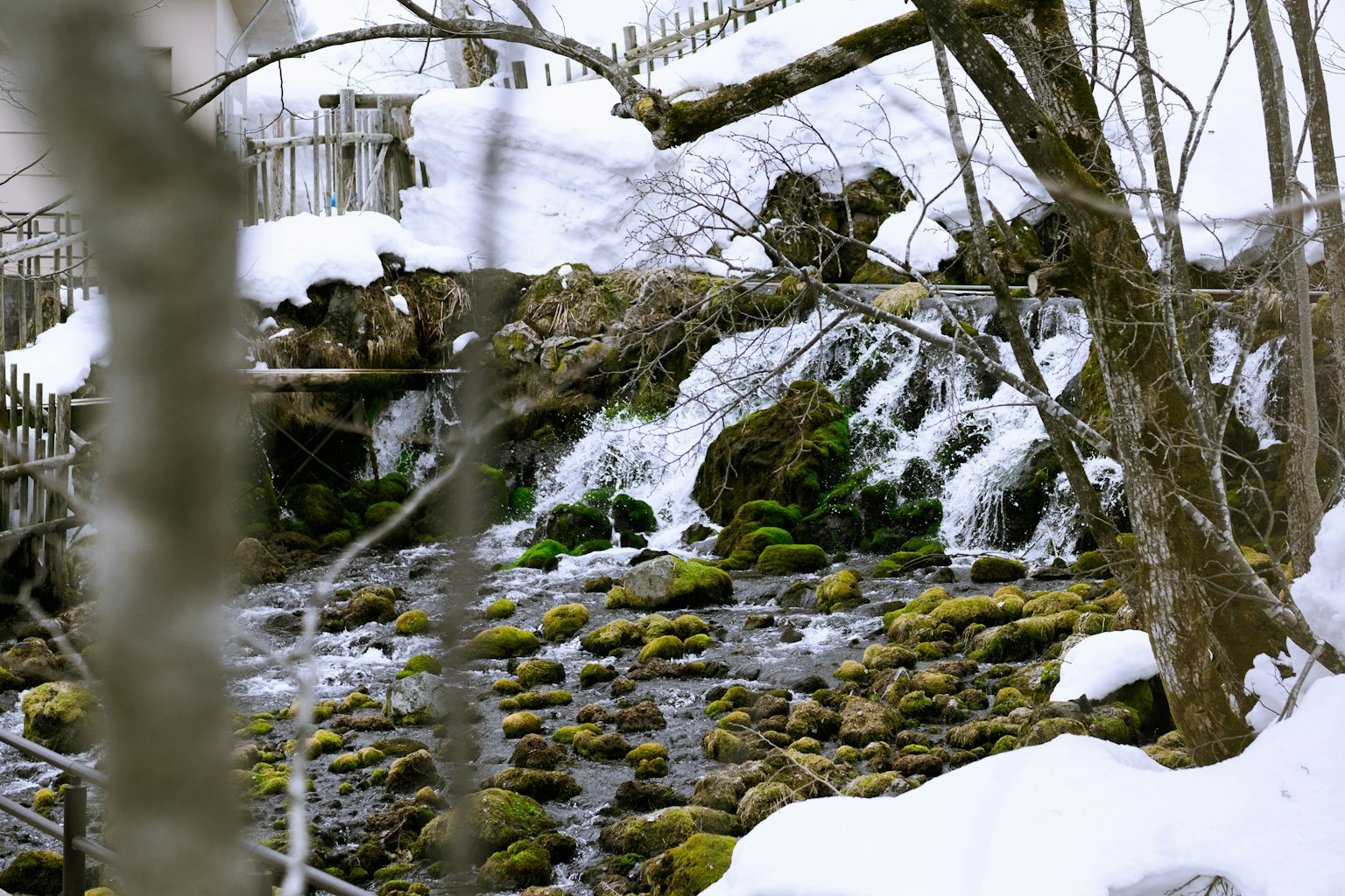 雪景中的小溪和瀑布可見綠色苔蘚和岩石
