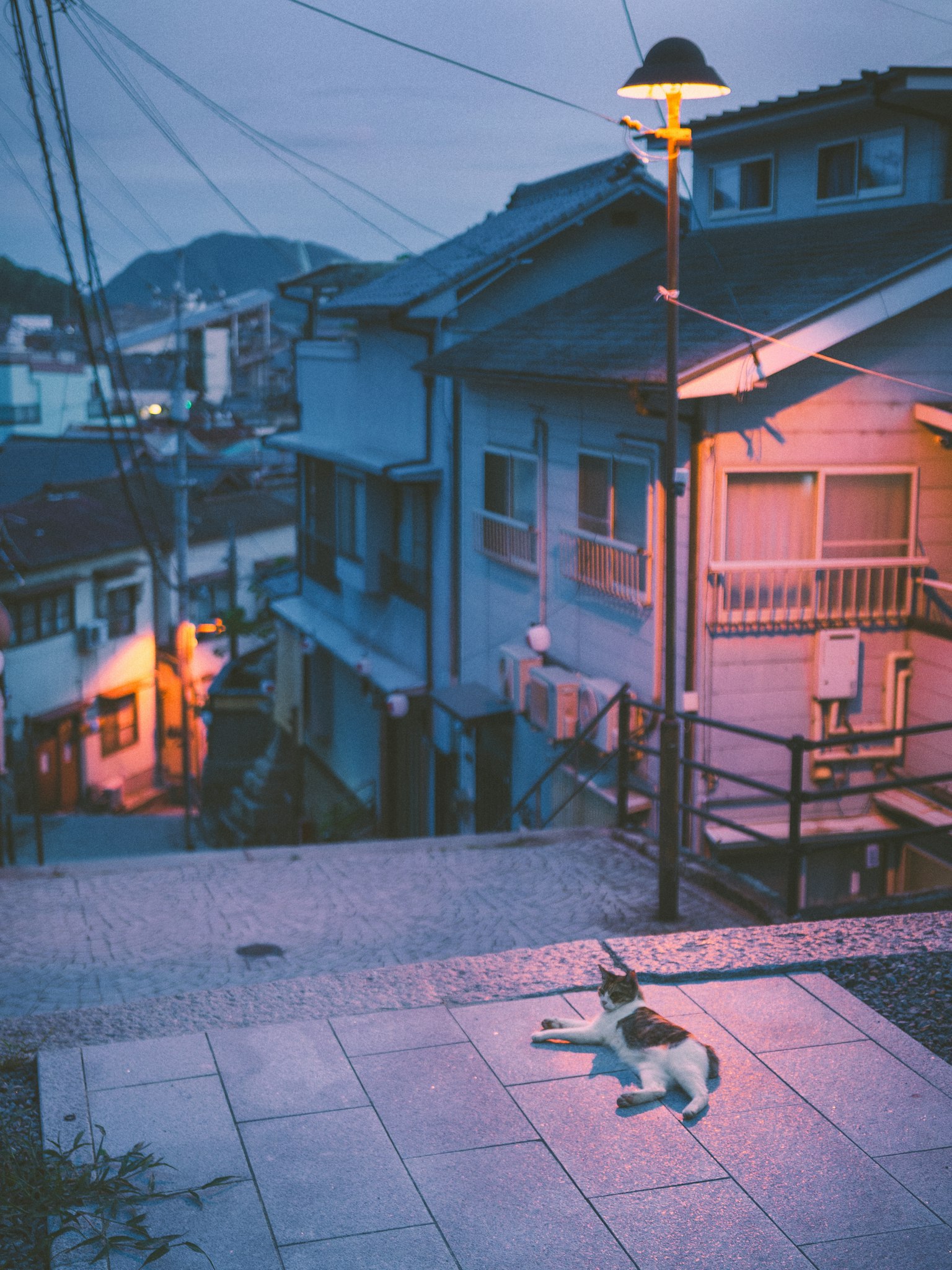 photo-fqZXRDfbPkpRUaHiwoFG-image