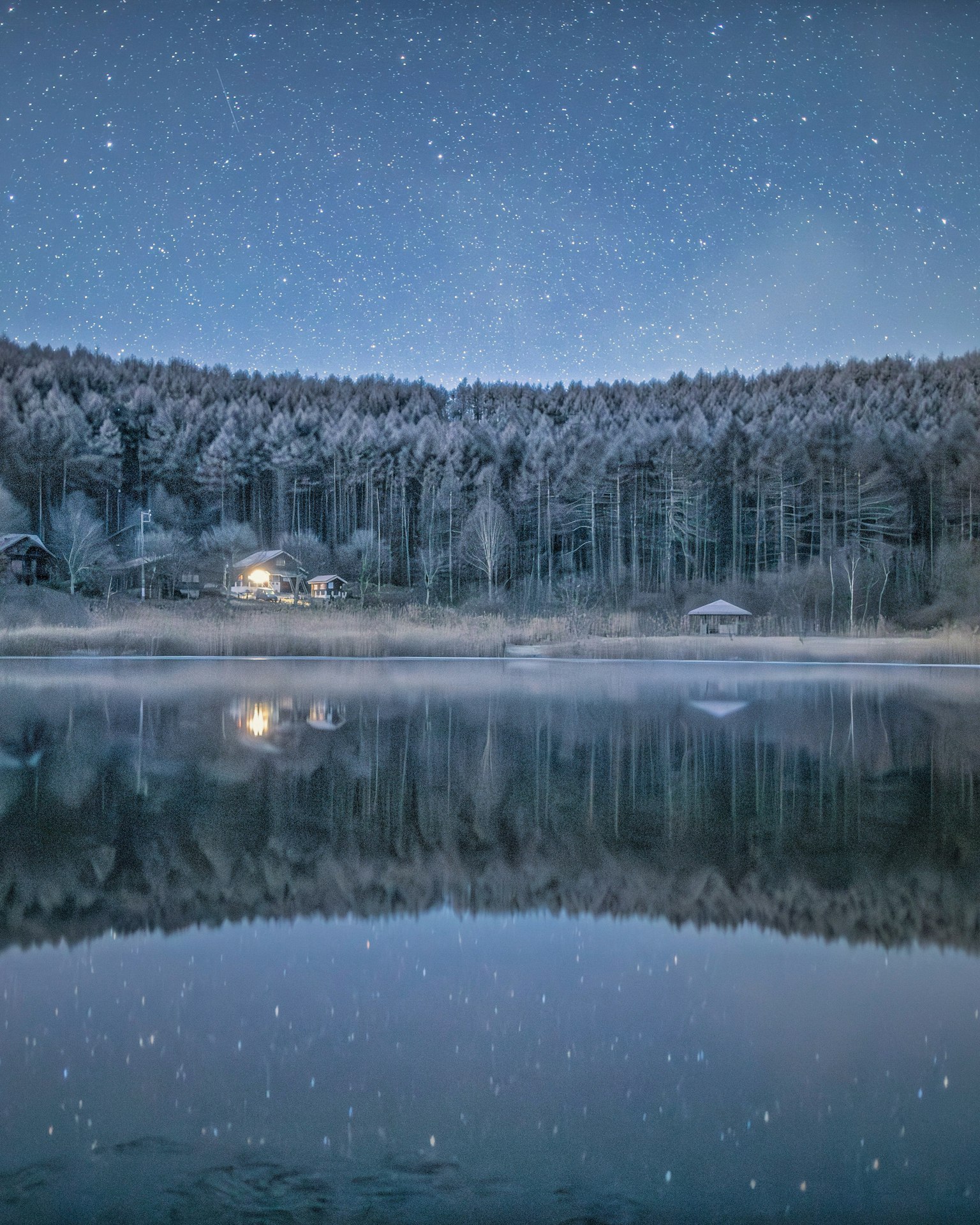 被雪覆盖的森林和湖泊夜景 星星闪烁宁静的冬季场景