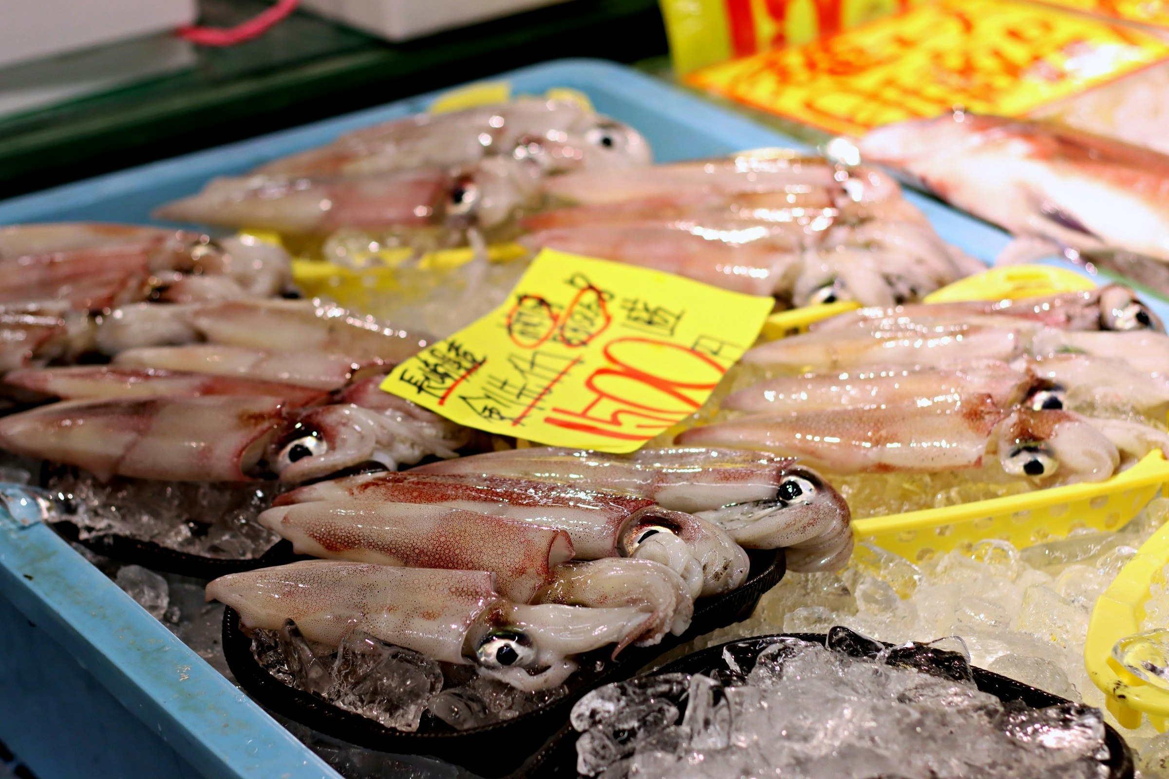 冰上擺放的新鮮海鮮與黃色價籤的魚市攤位