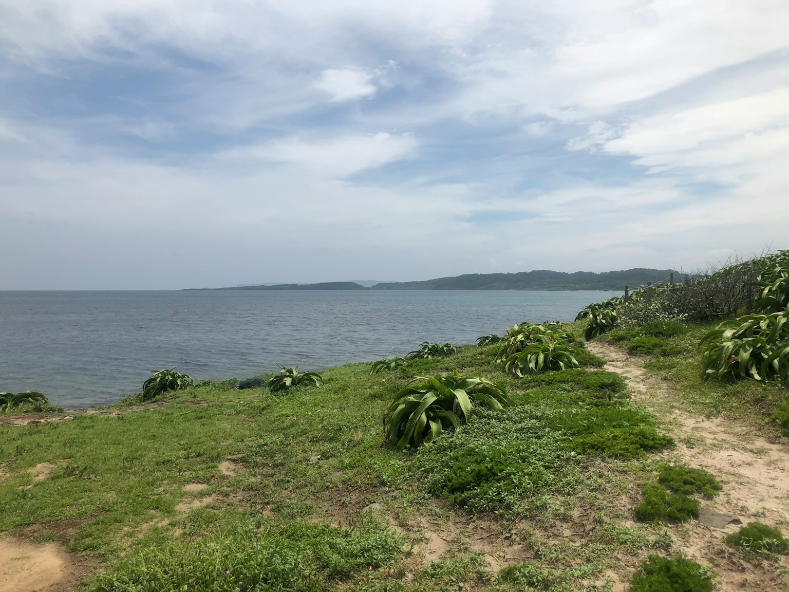 海岸線的風景，草地和通往水邊的小路