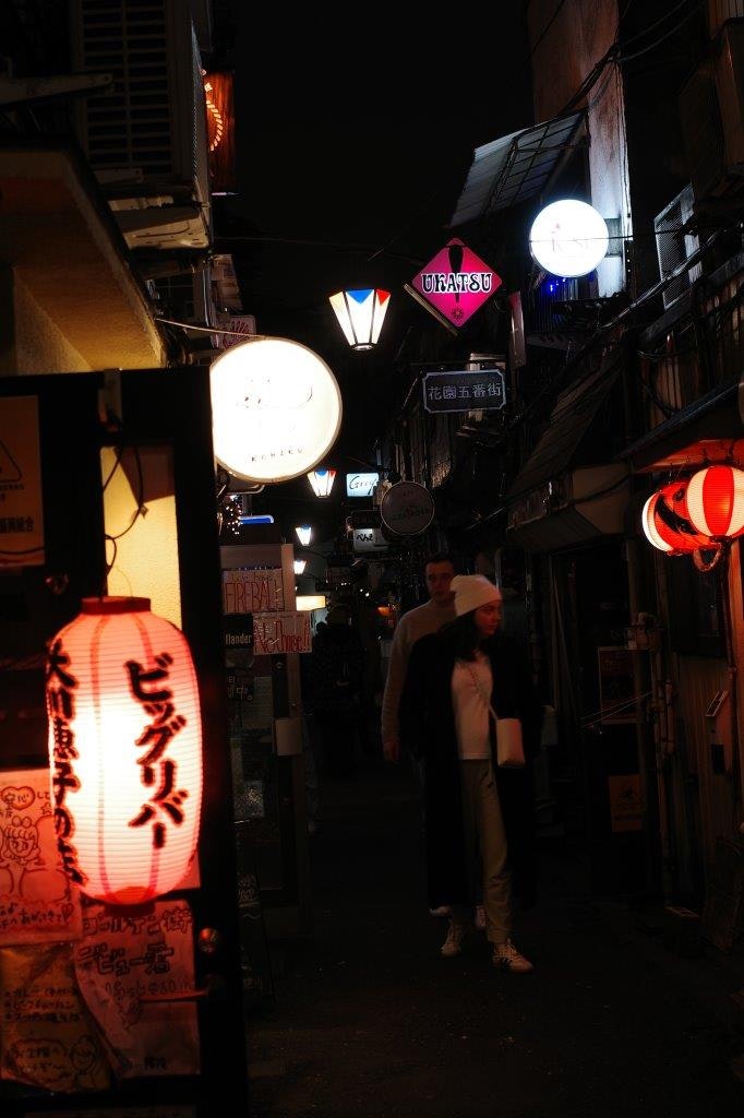 提灯とネオンが並ぶ夜の路地