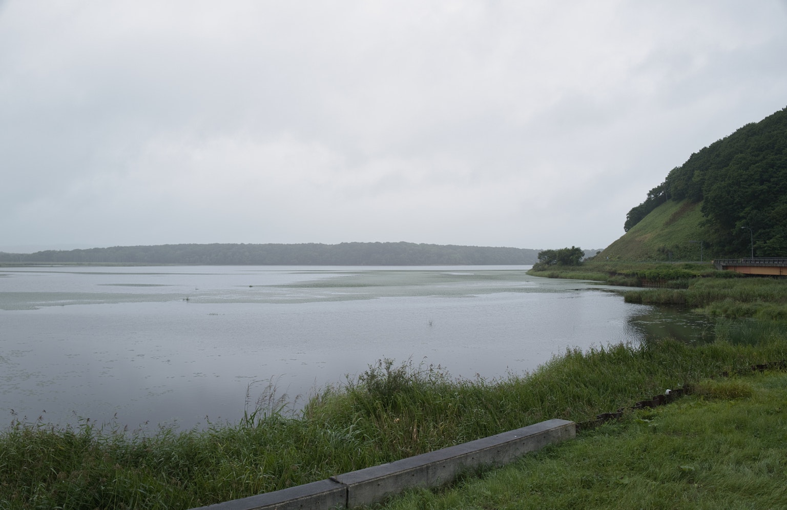 Lac serein avec des prairies vertes par une journée nuageuse