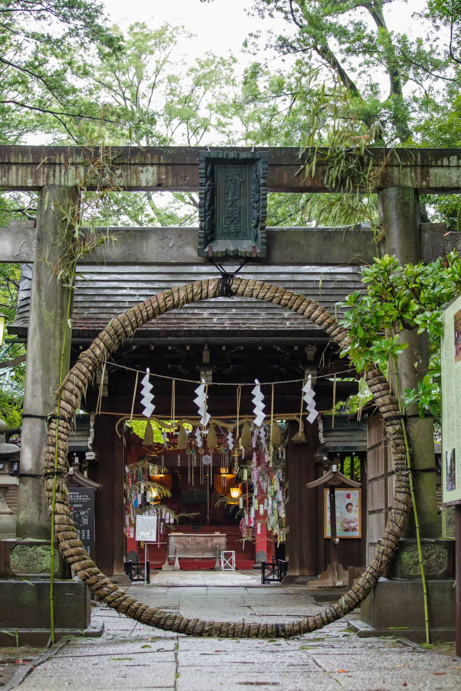 神社鳥居的景觀，周圍有一個大型裝飾性繩圈和郁郁蔥蔥的綠樹