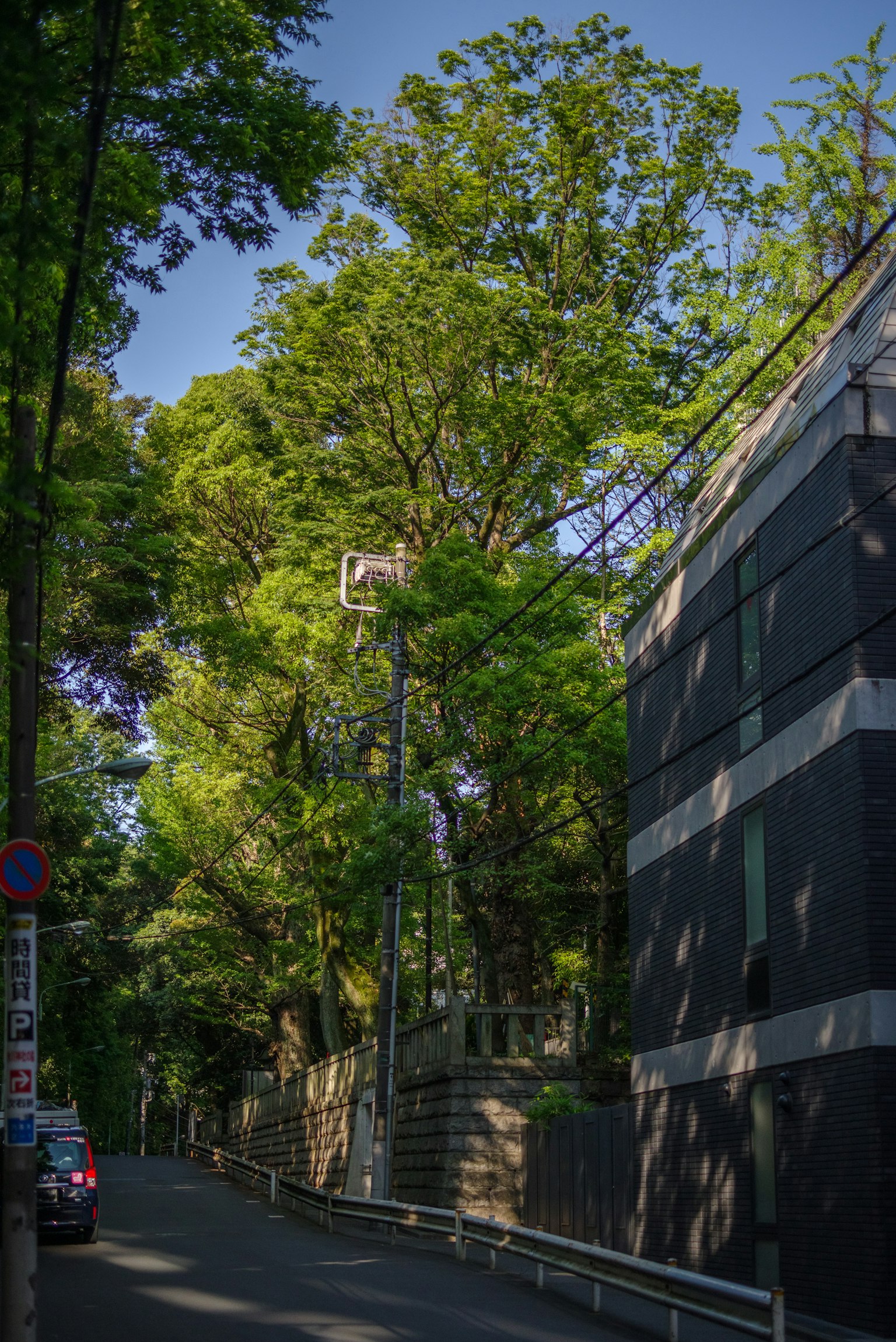 被郁郁蔥蔥的綠樹和現代建築環繞的安靜街道