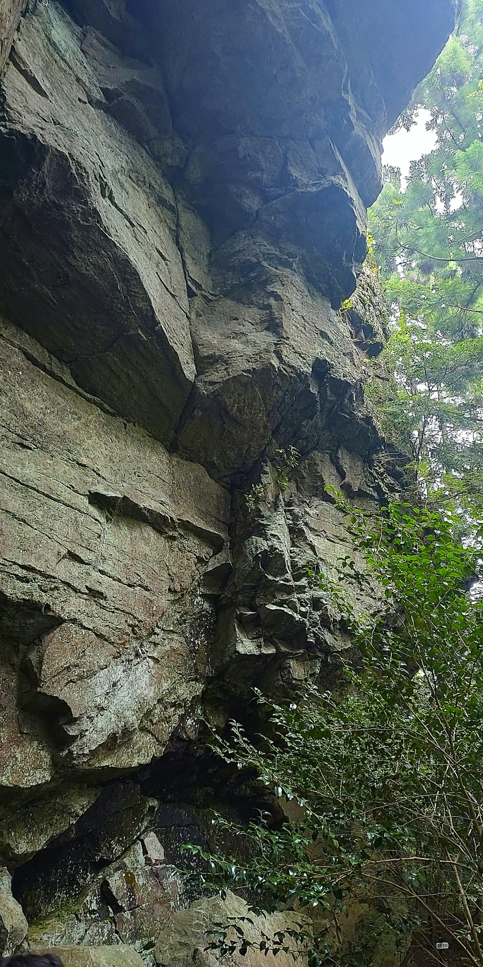 Rock formations with lush greenery in a natural setting