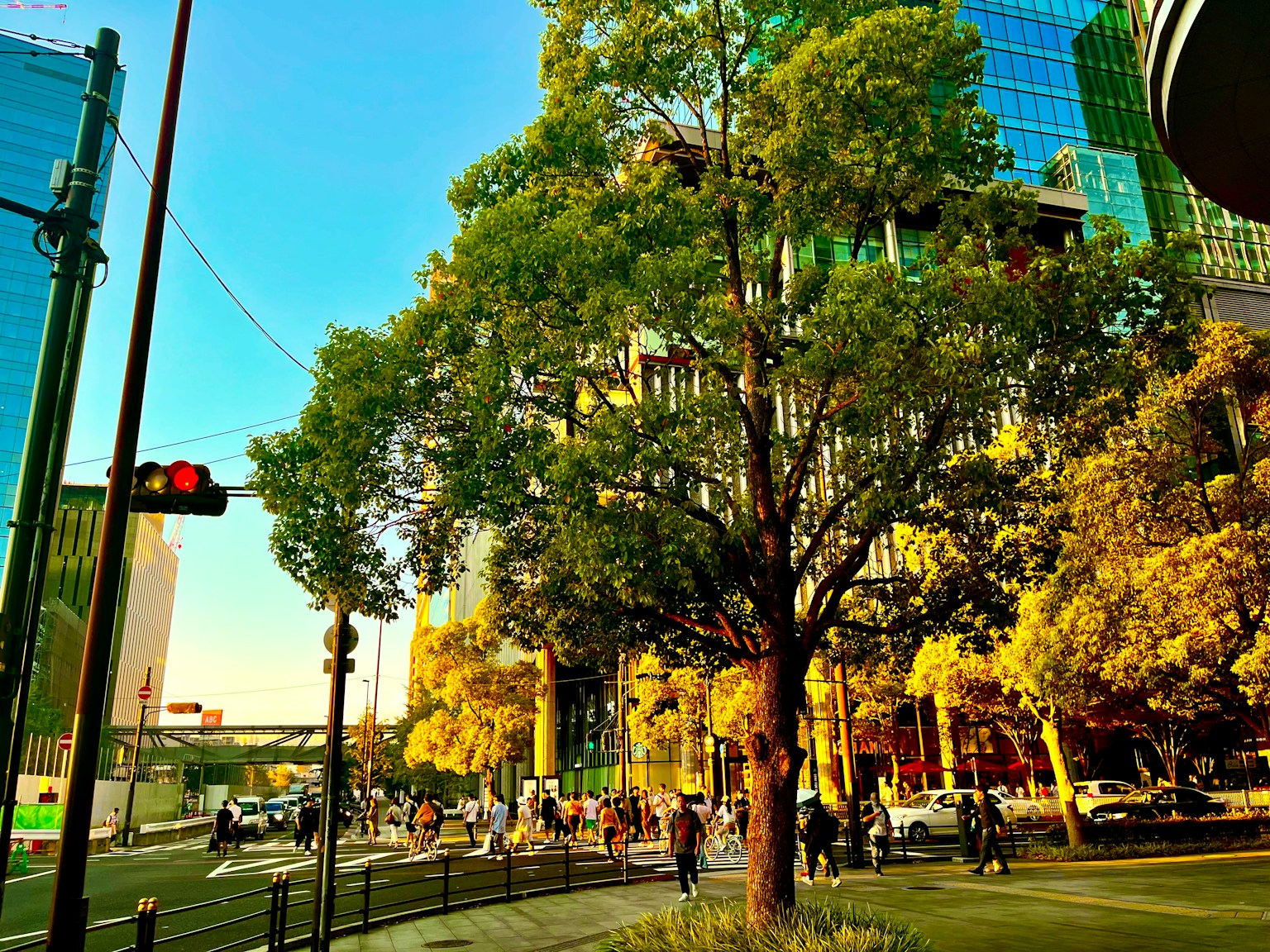 Une scène urbaine vibrante avec un grand arbre vert sous un ciel bleu dégagé