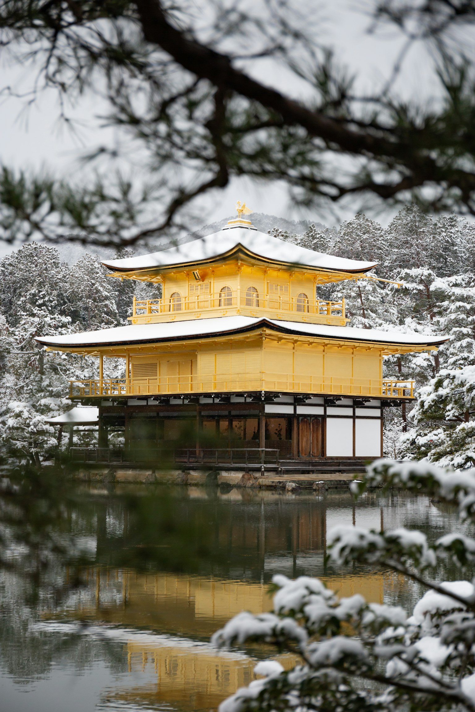 Cảnh đẹp của Kinkaku-ji phủ đầy tuyết