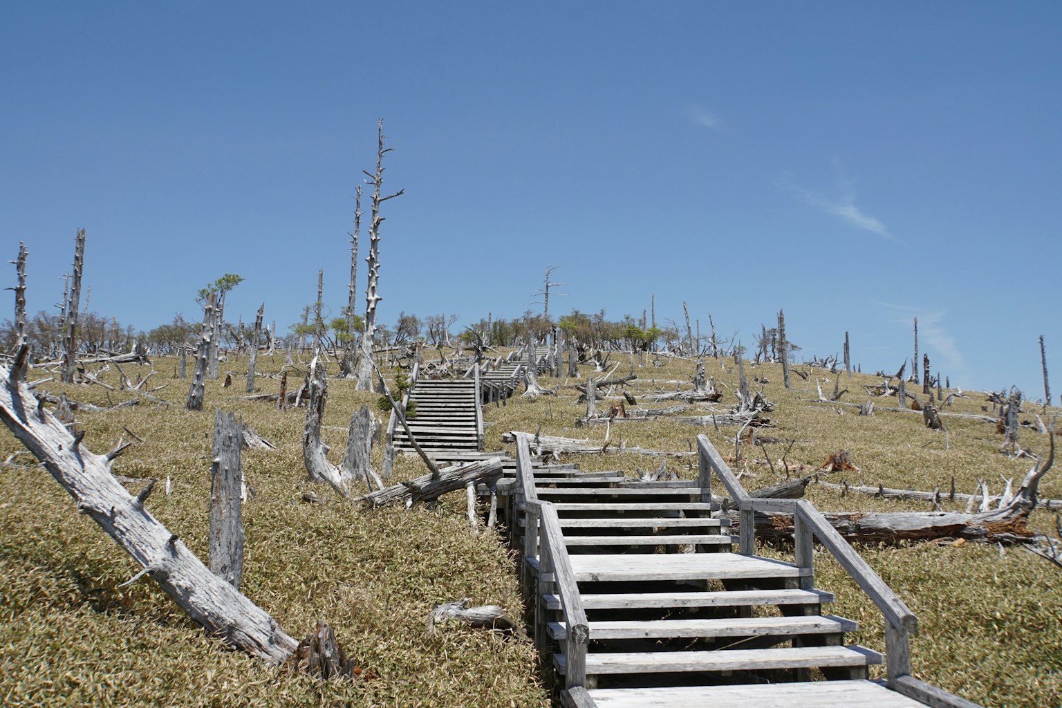 Escaleras de madera que conducen a un paisaje árido bajo un cielo azul
